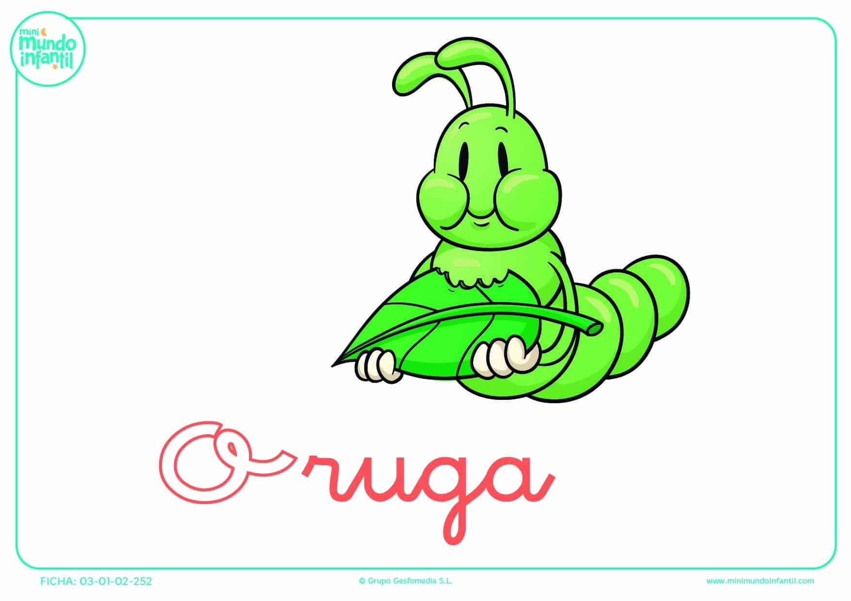 Poner color a la letra O minúscula de oruga