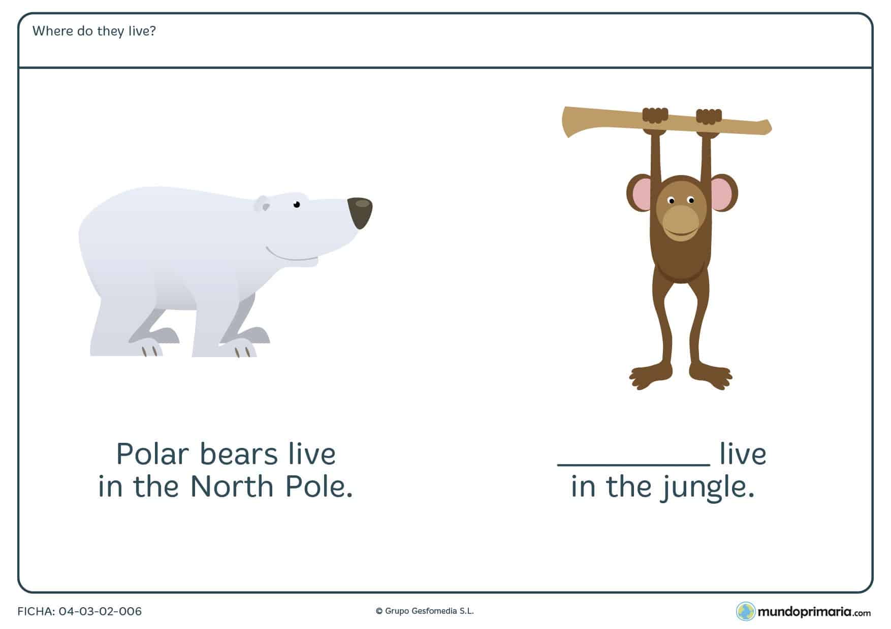 Escribe donde vive cada animal en inglés para aprender vocabulario