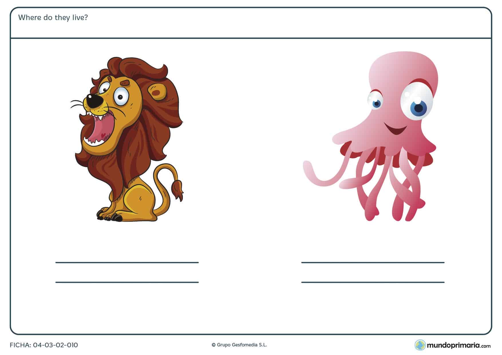¿En qué parte viven el león y el pulpo? Responde en inglés para 2º
