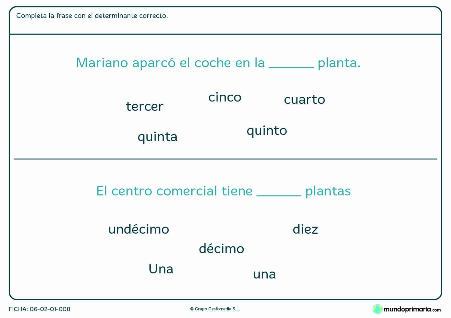 Ficha de Primaria de completar la oración con el determinante