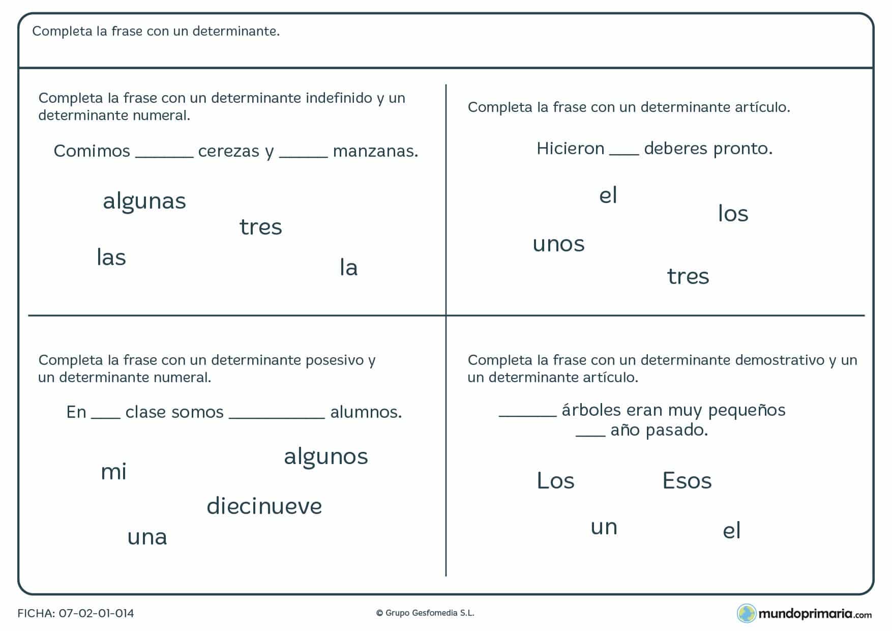 Completar las oraciones con los determinantes que correspondan