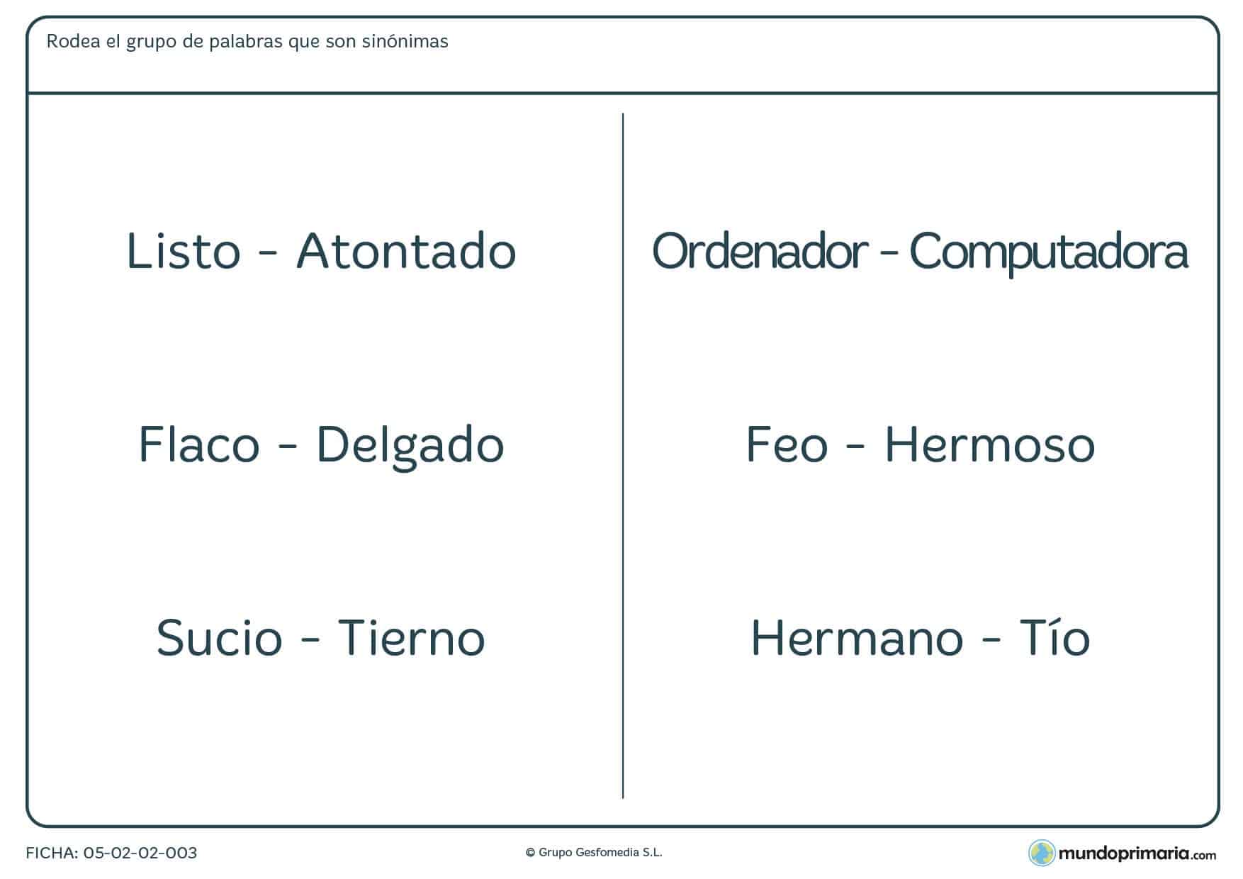 Ejercicios vocabulario lengua para tercero primaria