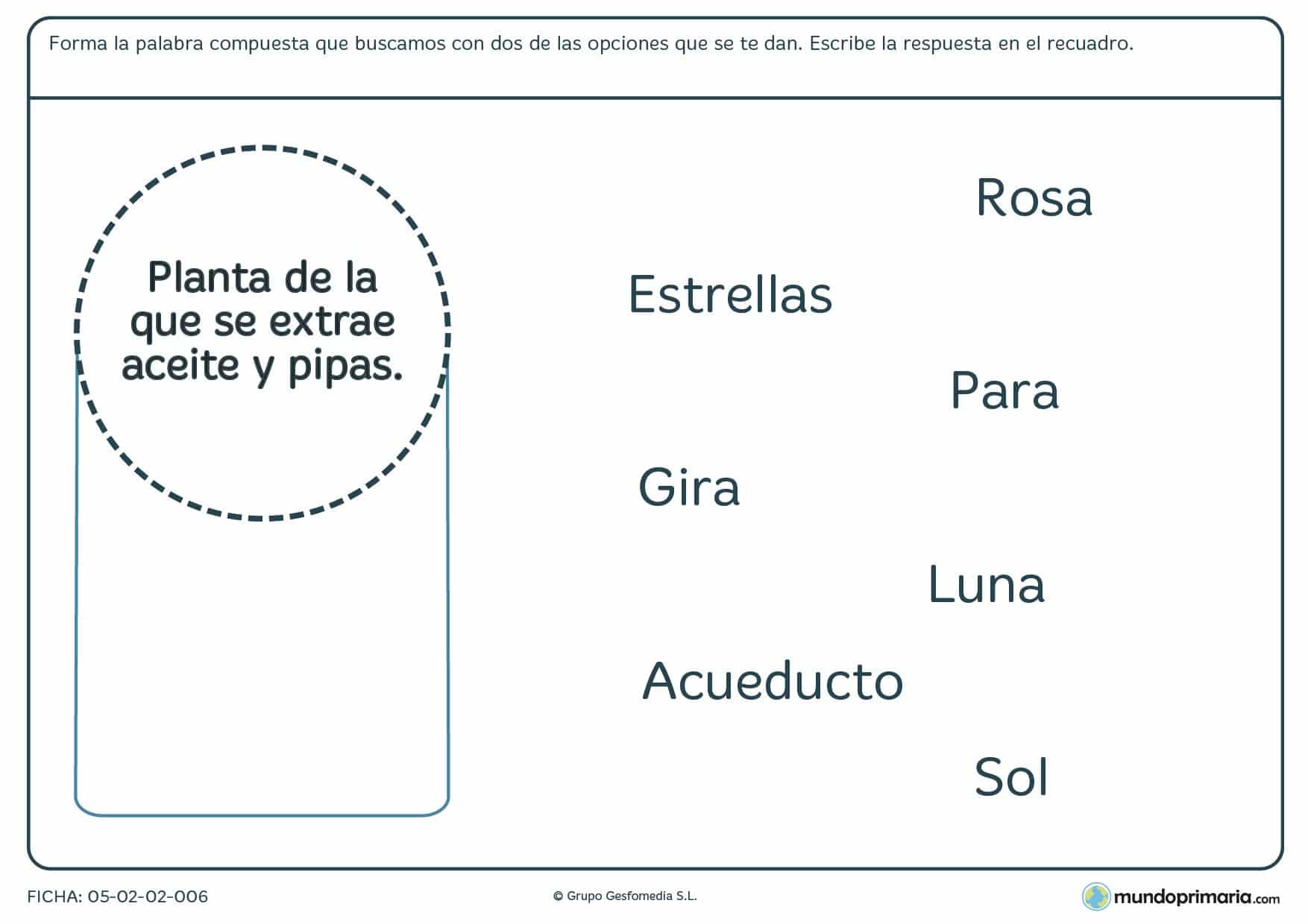 Ficha para formar palabras compuestas para 3º curso de Primaria