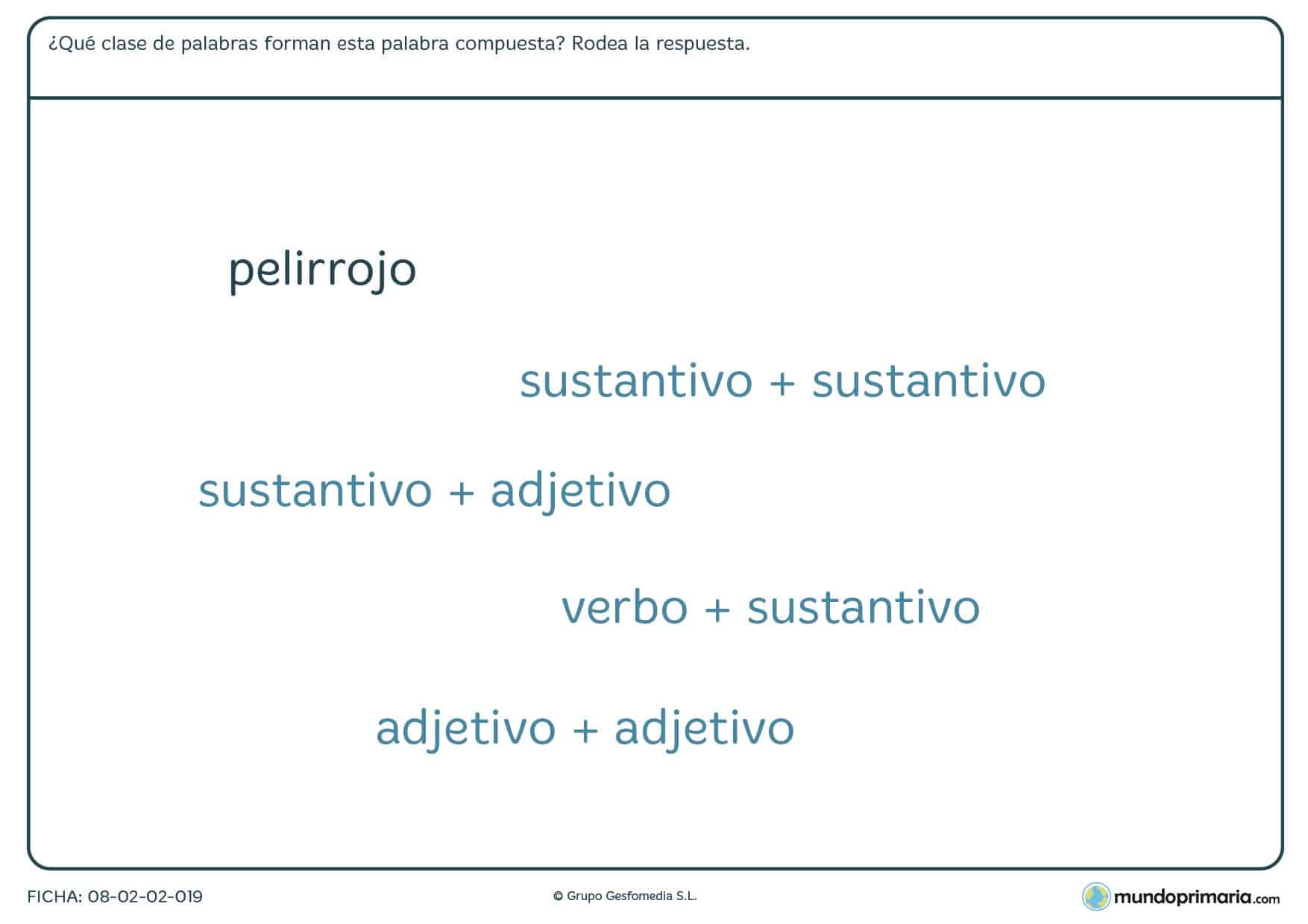 Ficha de composición de palabras por sustantivos o adjetivos