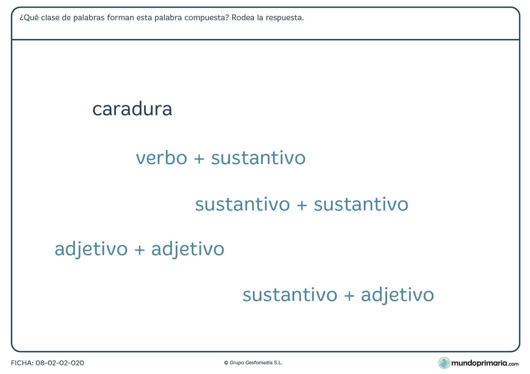 Ficha de lenguaje de composición por verbo, sustantivo o adjetivo