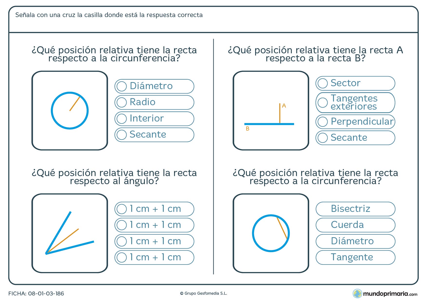 Ficha de posición relativa en ángulos, circunferencias y más para 6º