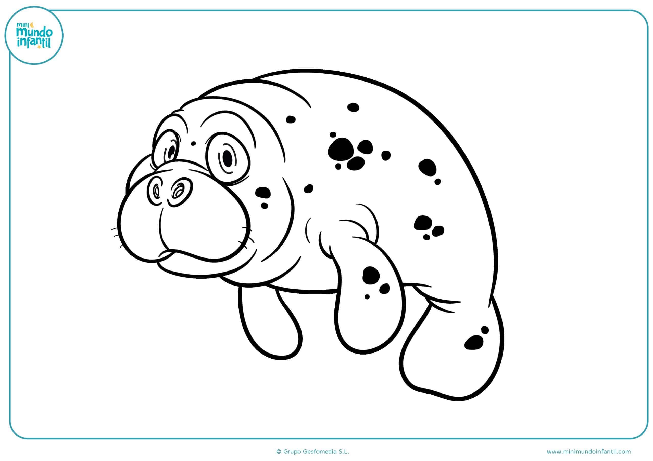 Dibujos animales marinos para pintar