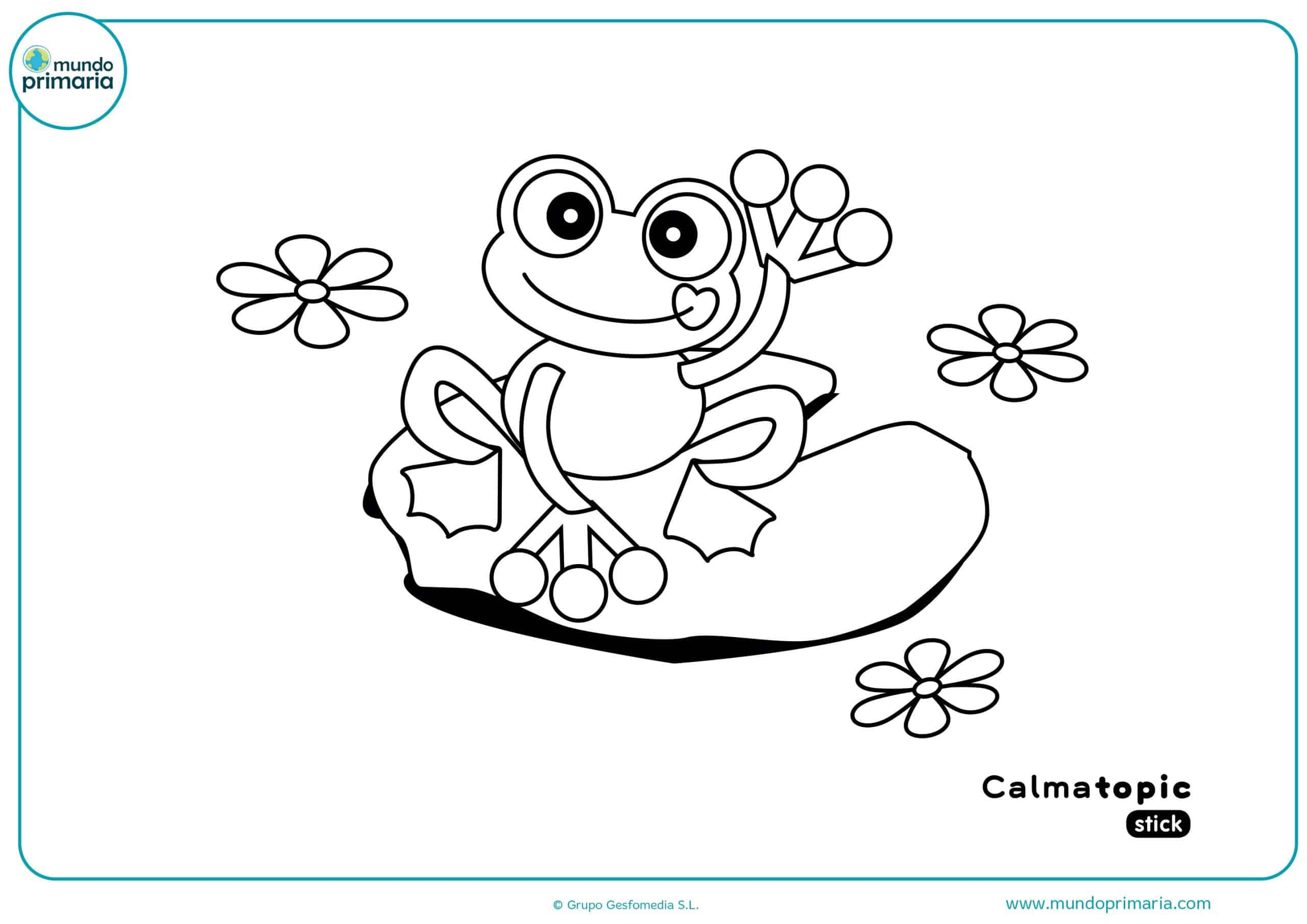 Ficha para colorear la rana de Calmatopic con tu colores favoritos
