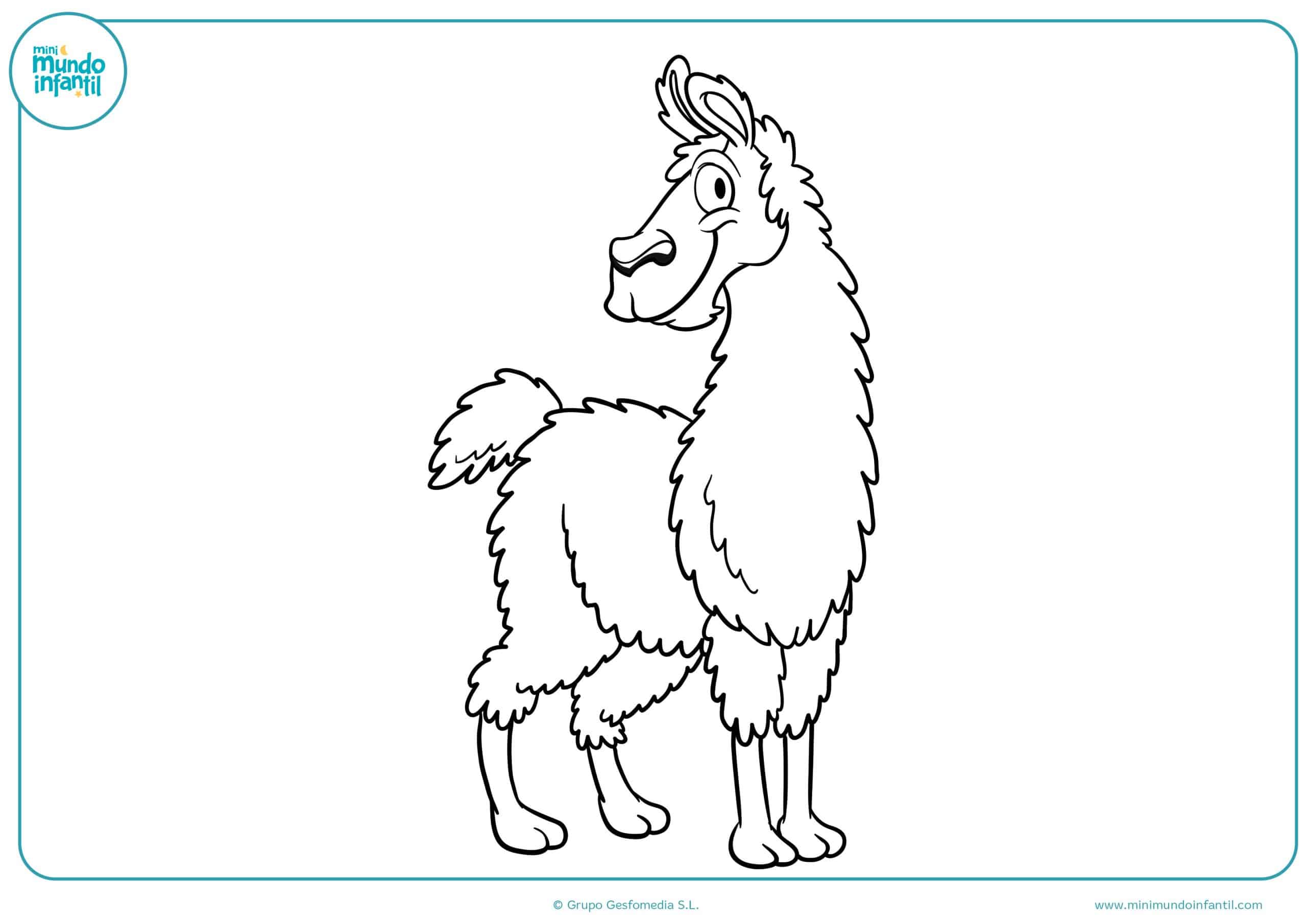 dibujos colorear animales omnivoros - dibujos fortnite para colorear e imprimir