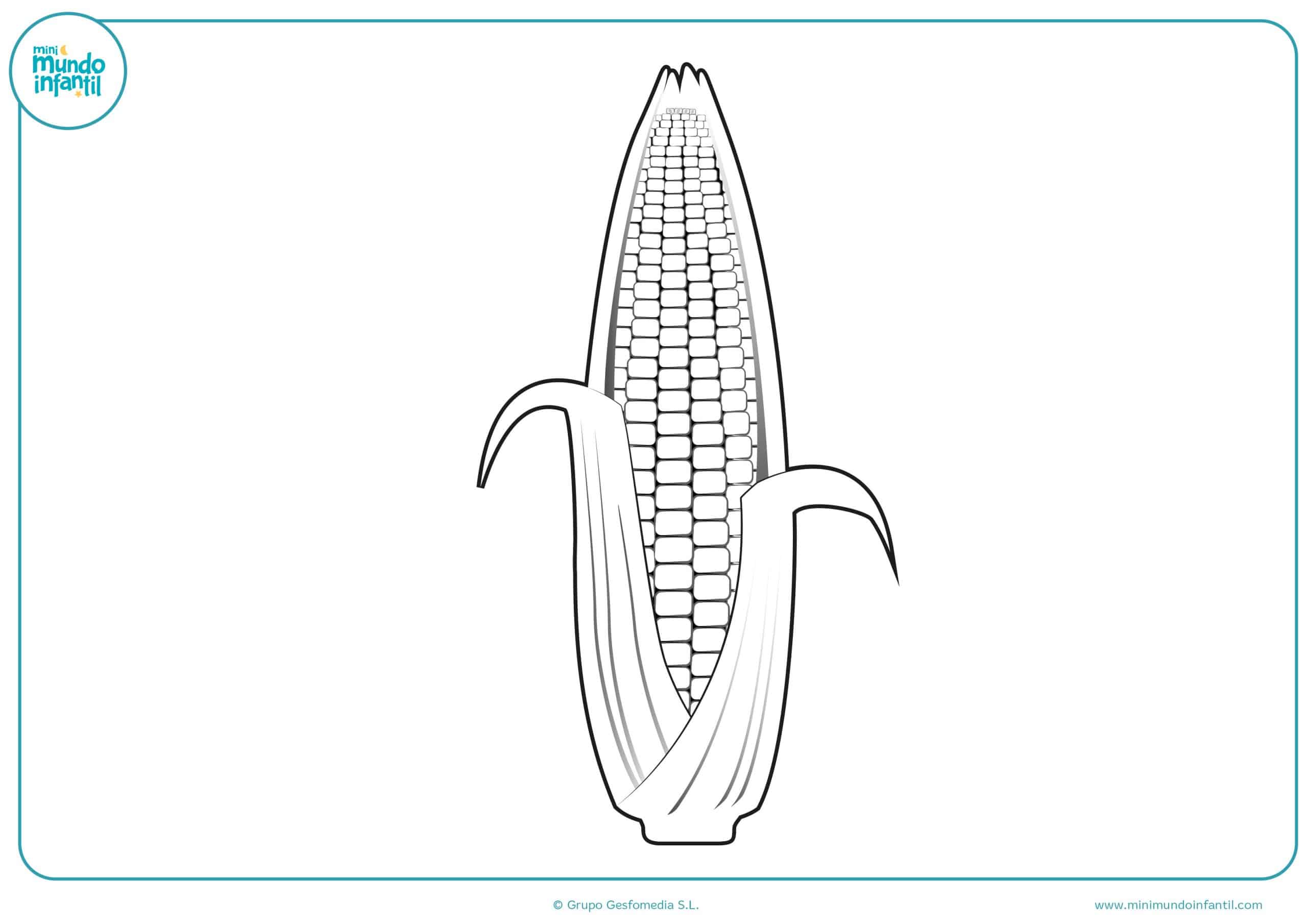 Dibujos verduras colorear imprimir