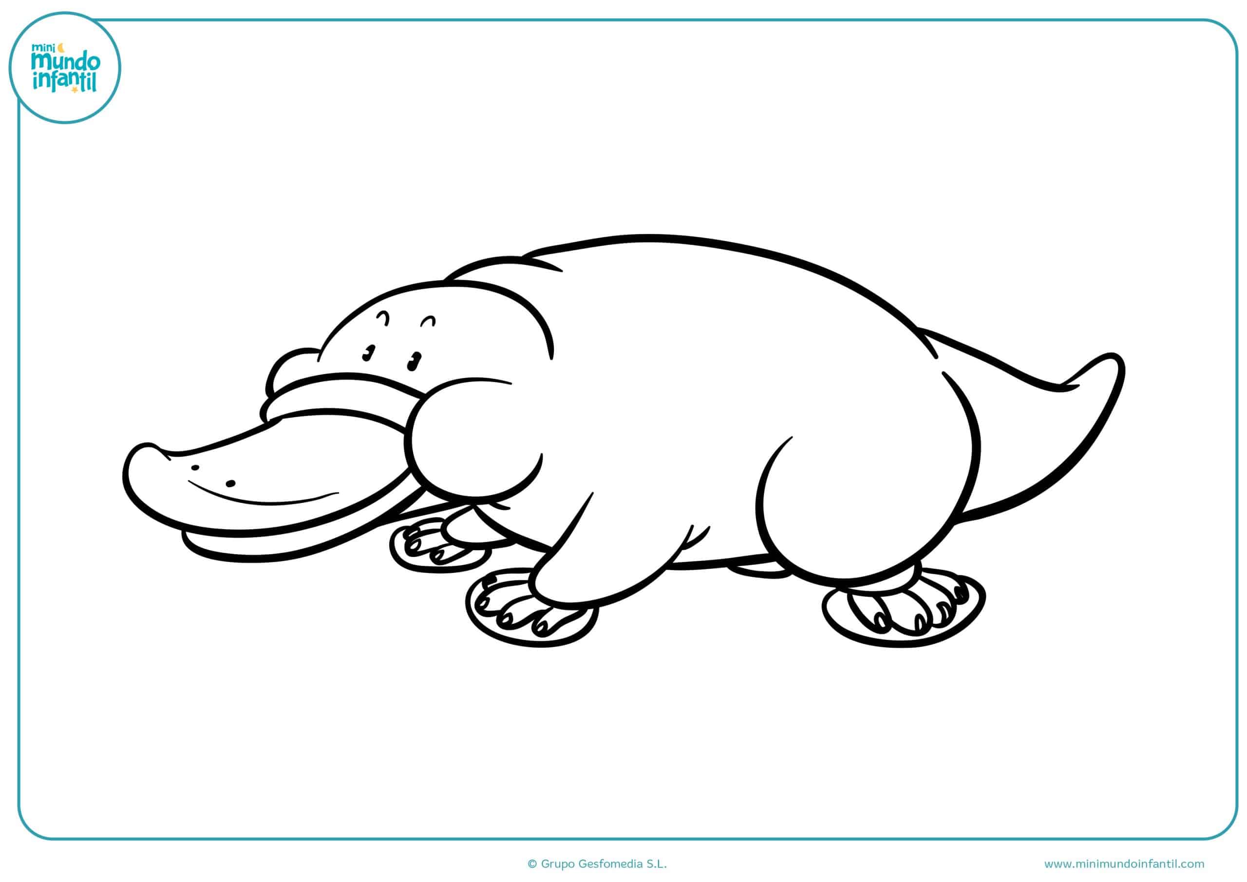 Animales dibujo marinos colorear