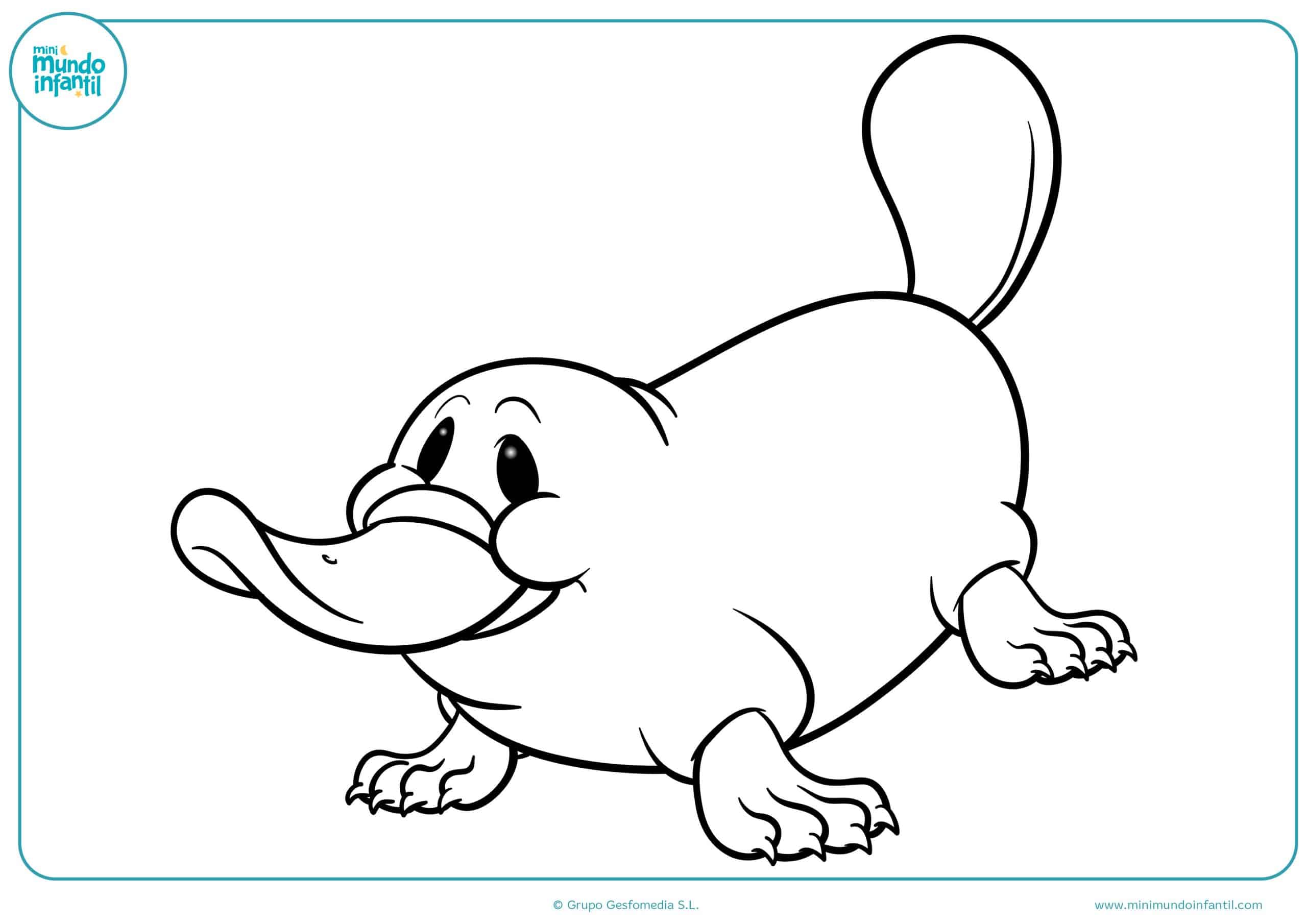 Dibujos colorear animales omnívoros niños