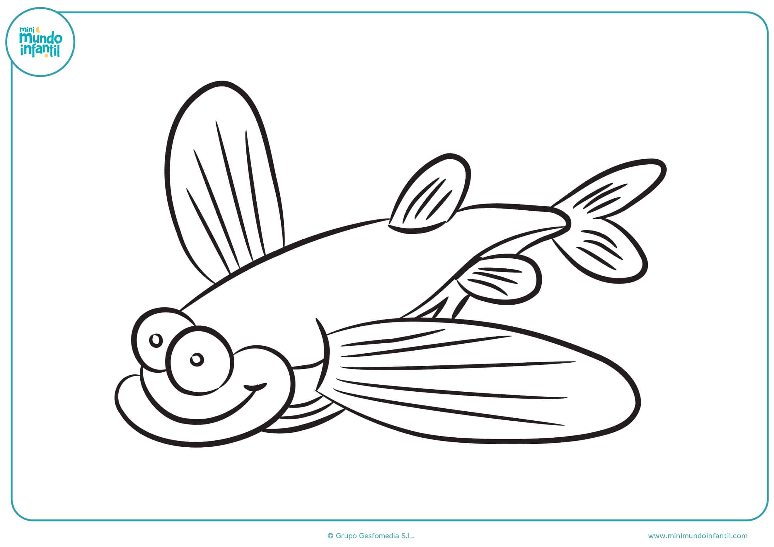 Dibujos fáciles colorear animales marinos