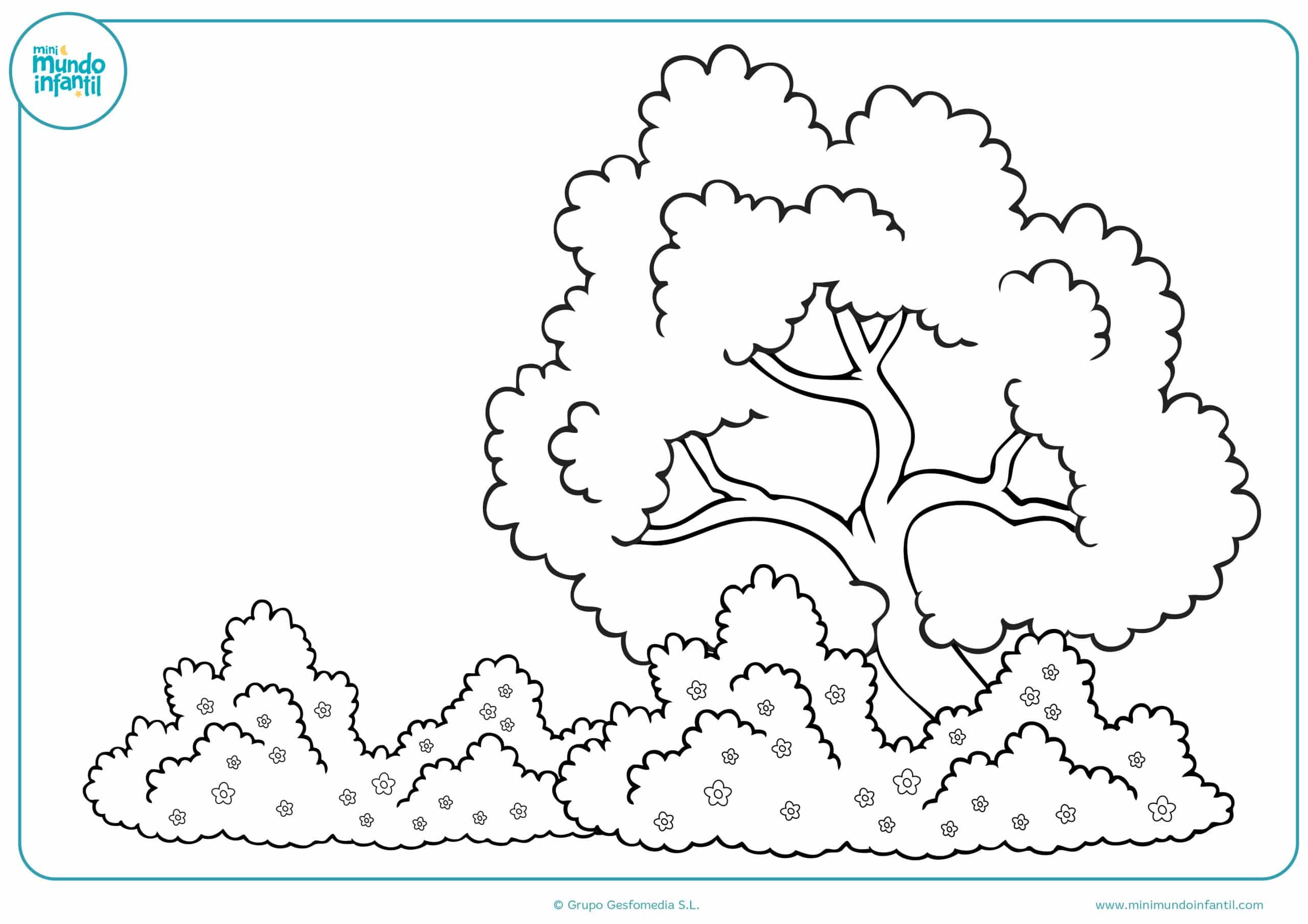 Colorear dibujos estaciones de año niños