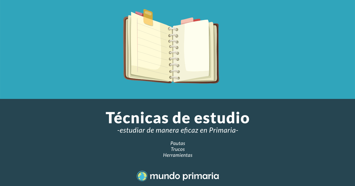Resultado de imagen de GUIA TECNICA DE ESTUDIOS MUNDO PRIMARIA