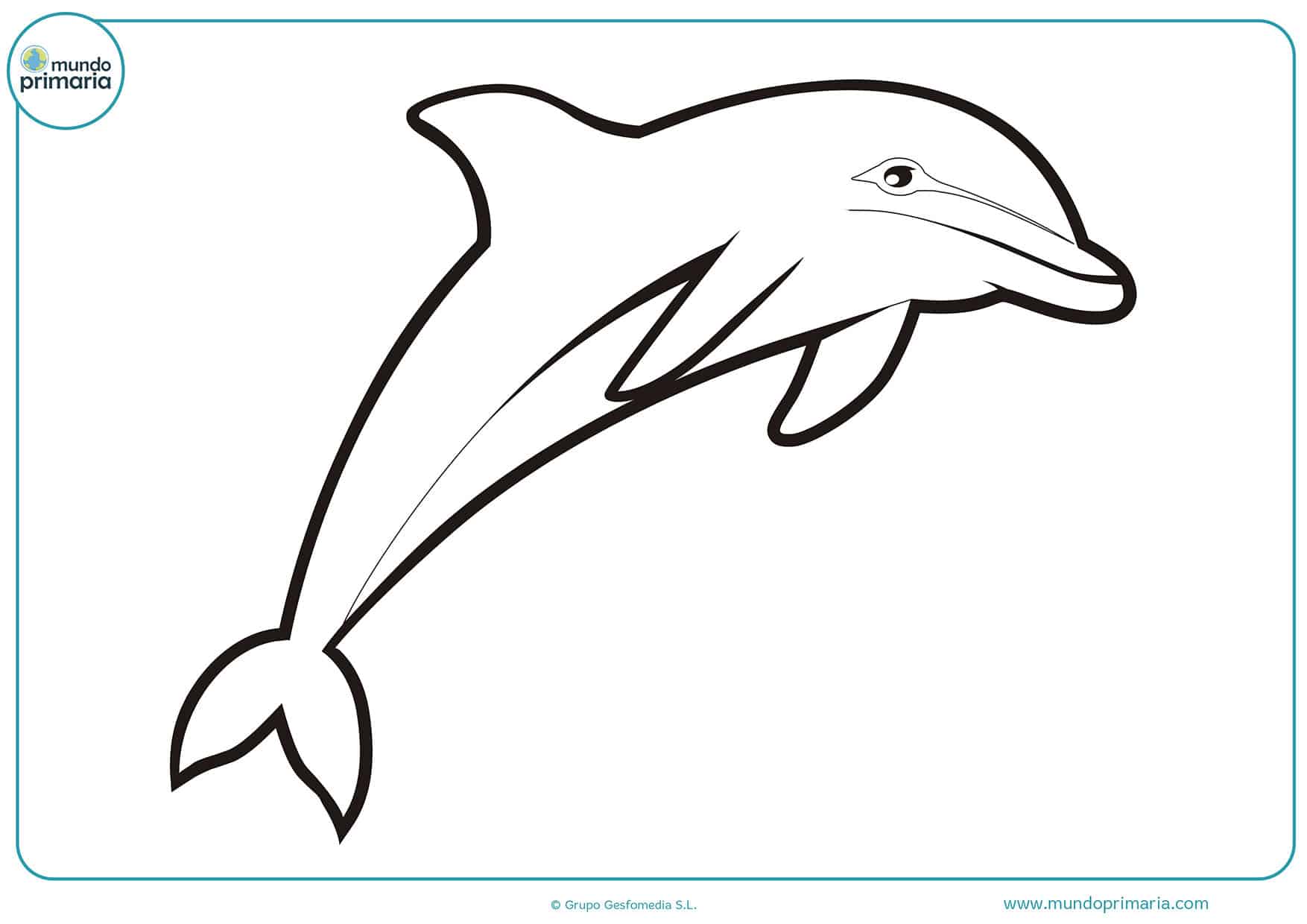 Dibujos de delfines para colorear - Mundo Primaria