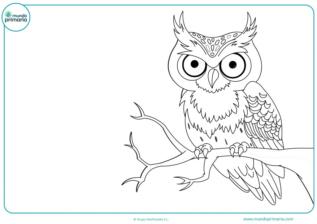 Dibujos de Animales del Bosque para Colorear e Imprimir