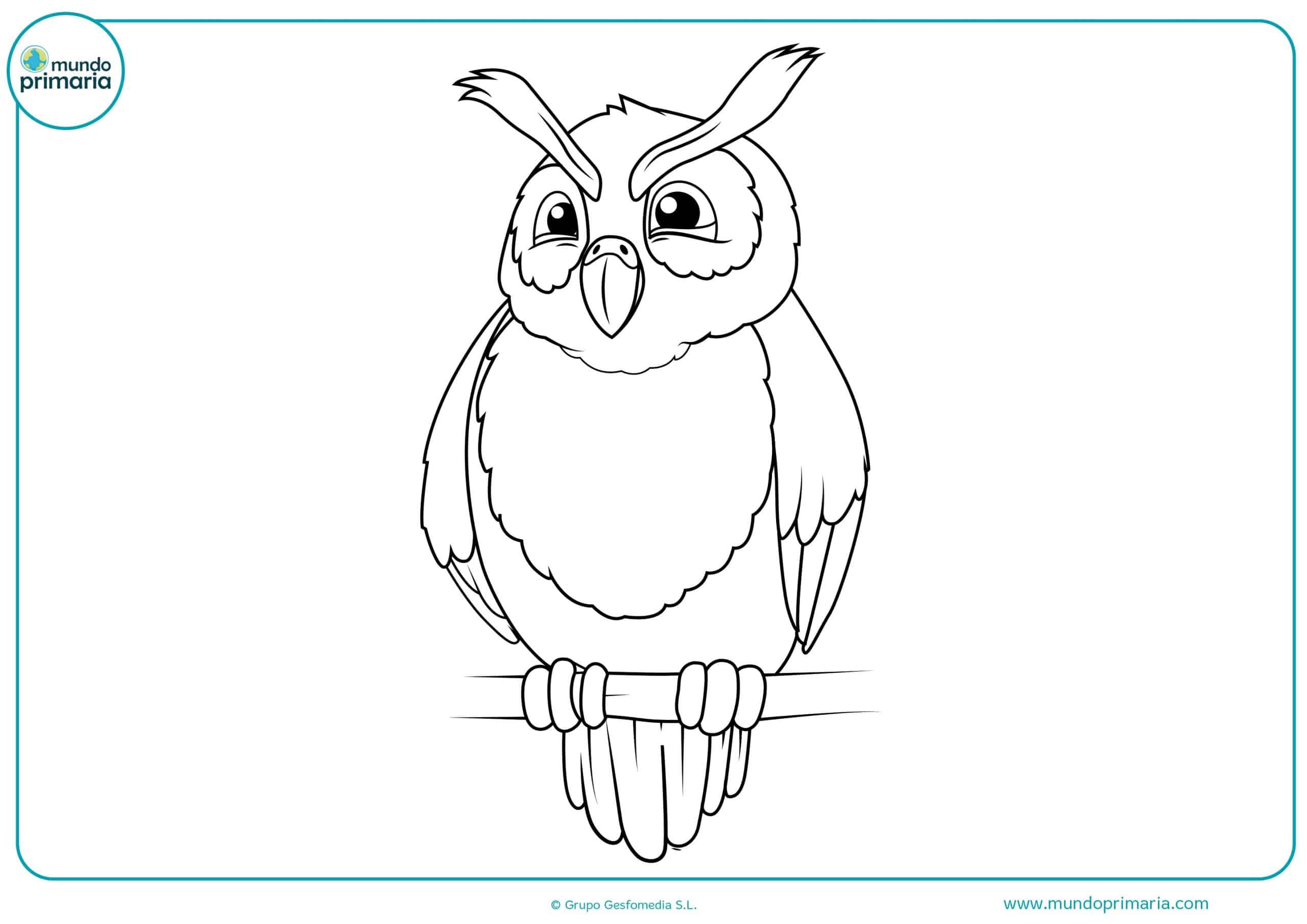 ▷ Dibujos de Animales del Bosque para Colorear e Imprimir