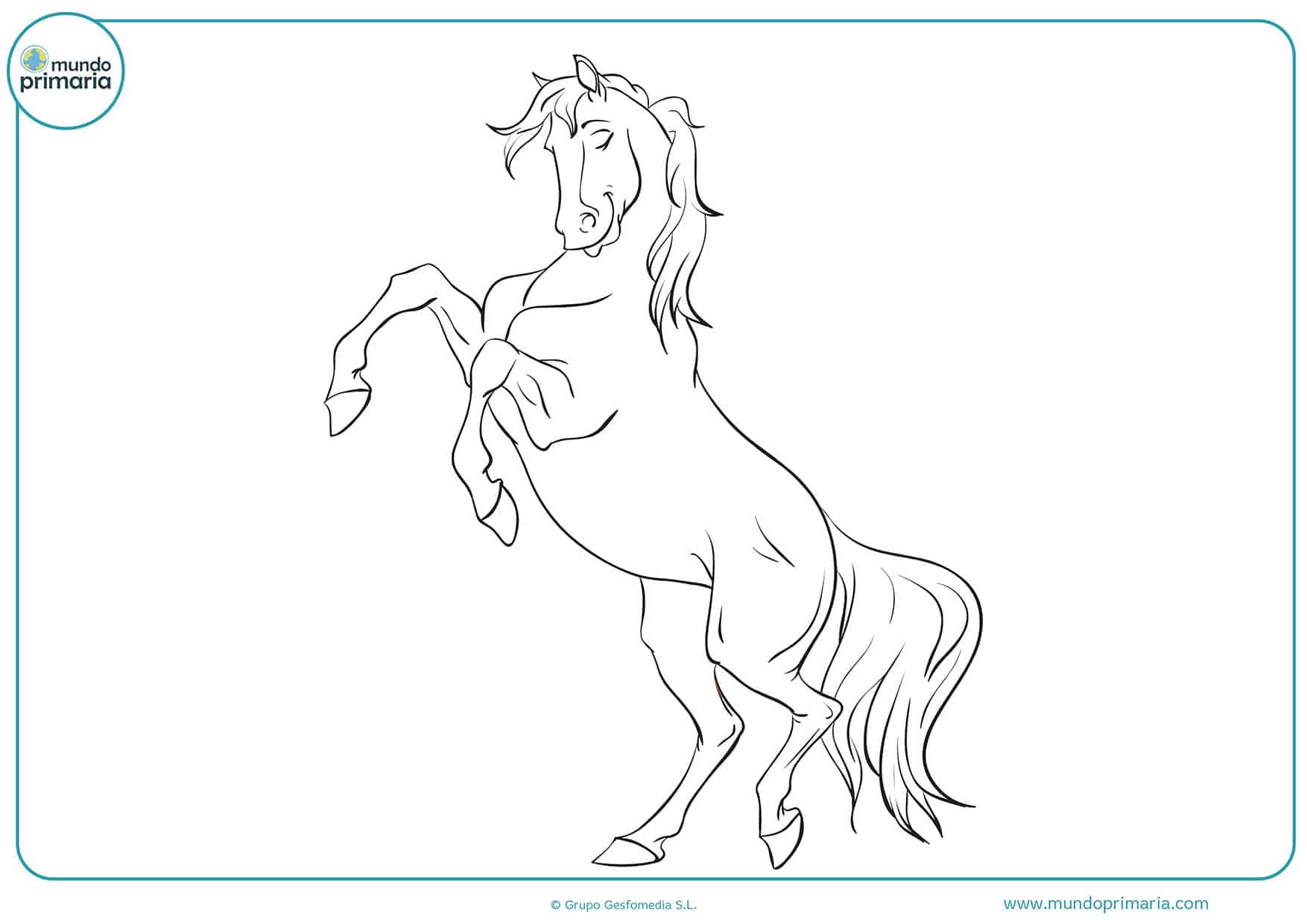 Dibujos colorear caballos primaria
