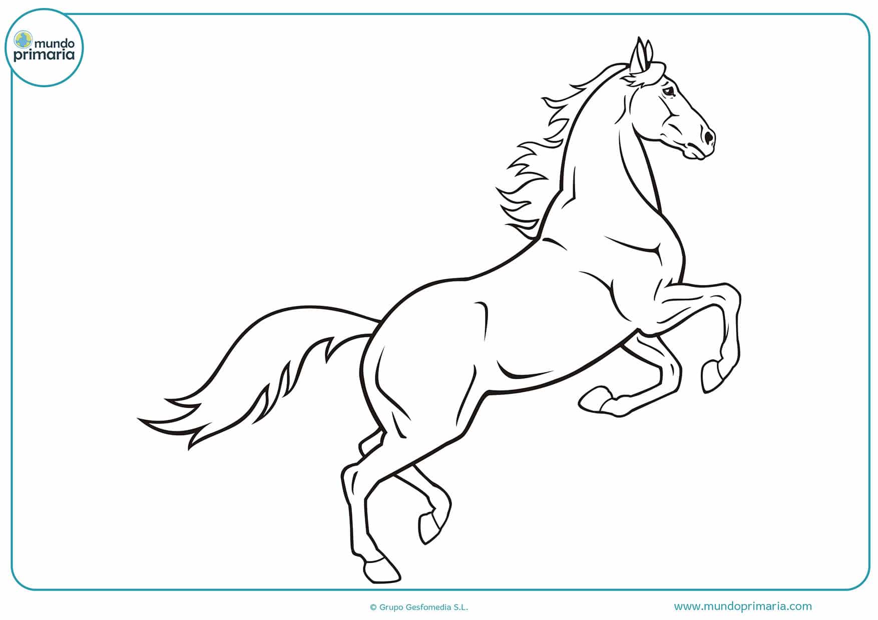 Dibujos caballos para pintar