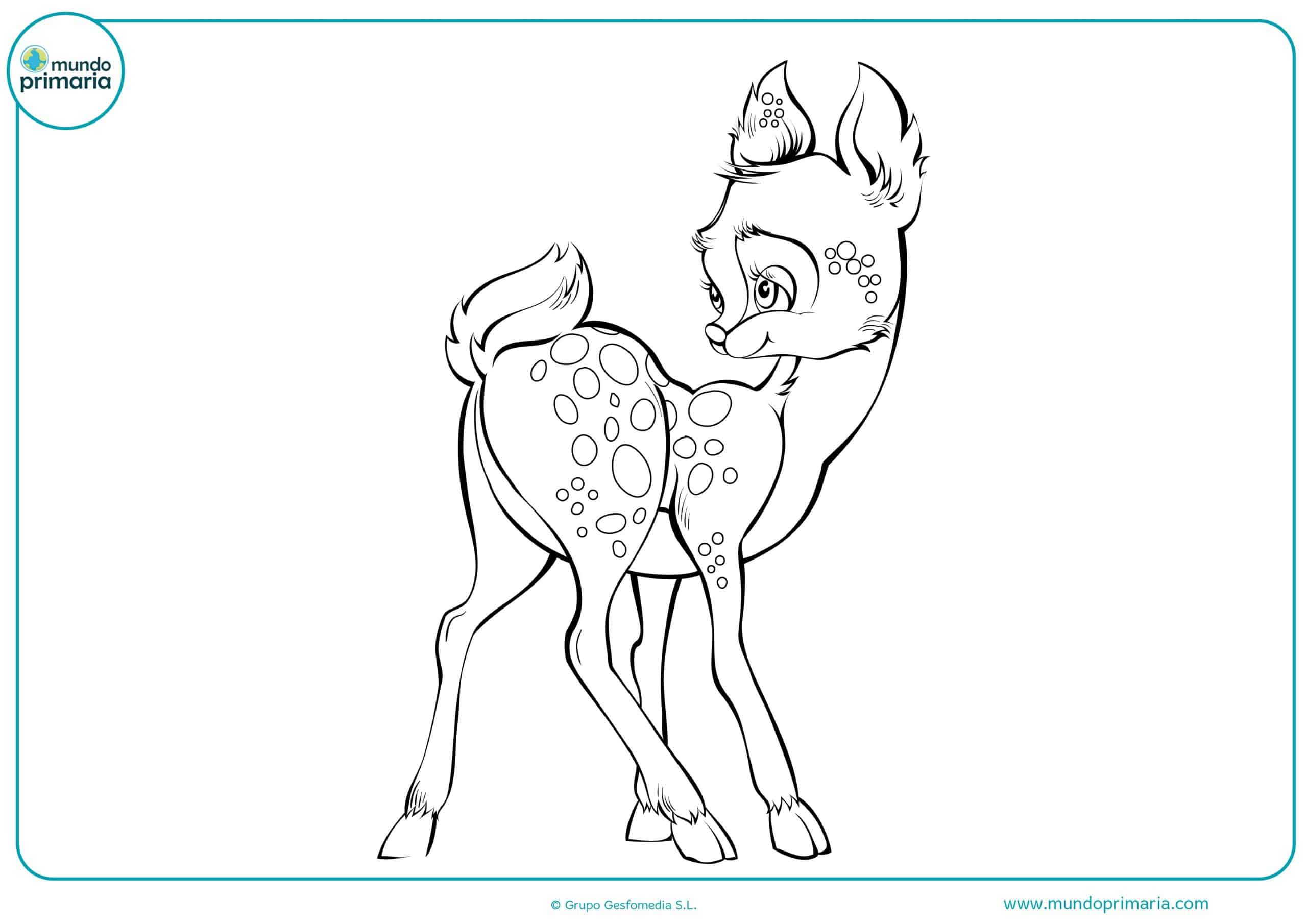 Dibujos colorar animales bosque niñas