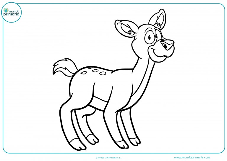 Dibujos de Animales del Bosque para Colorear e Imprimir