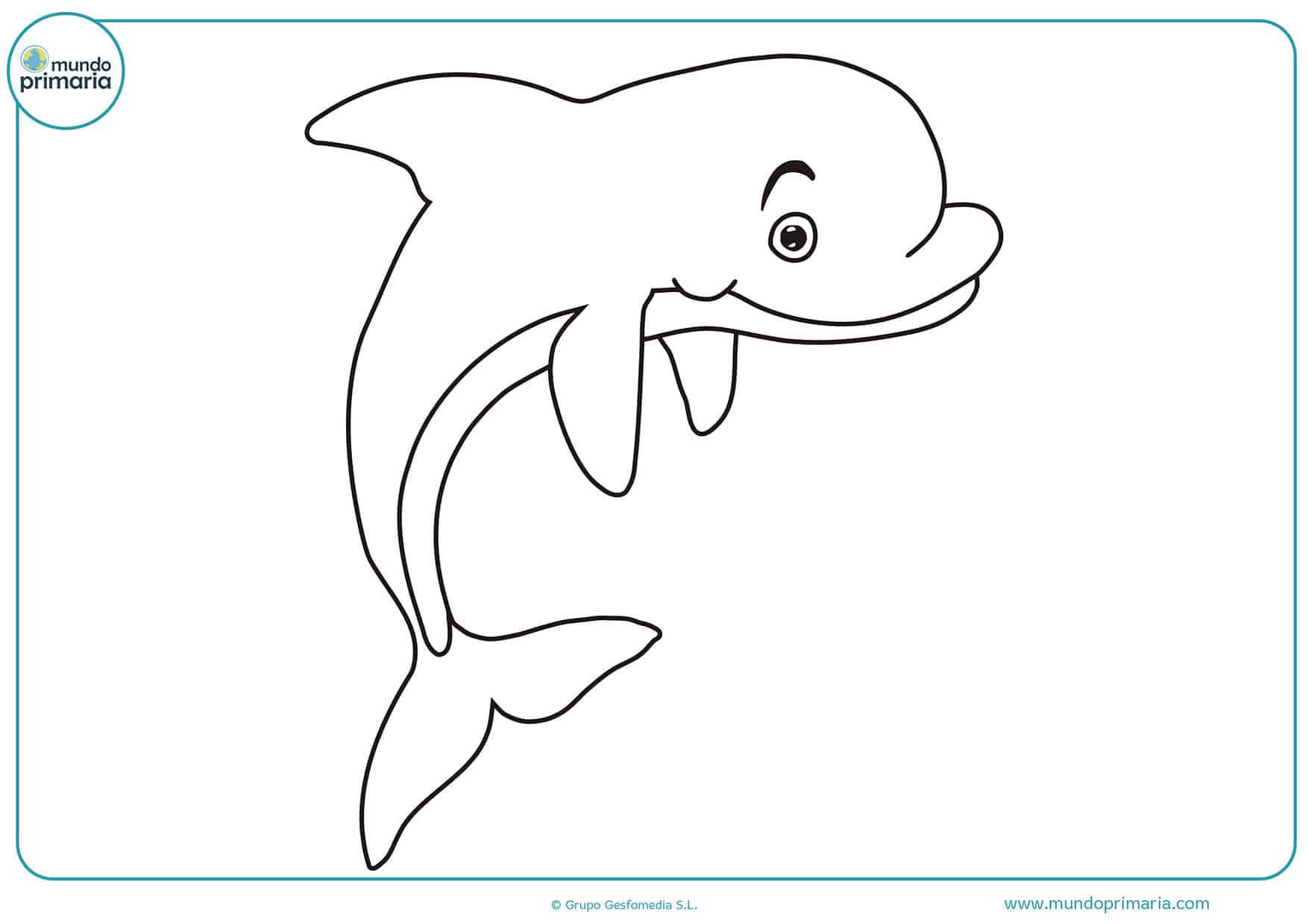 Colorear dibujos delfines