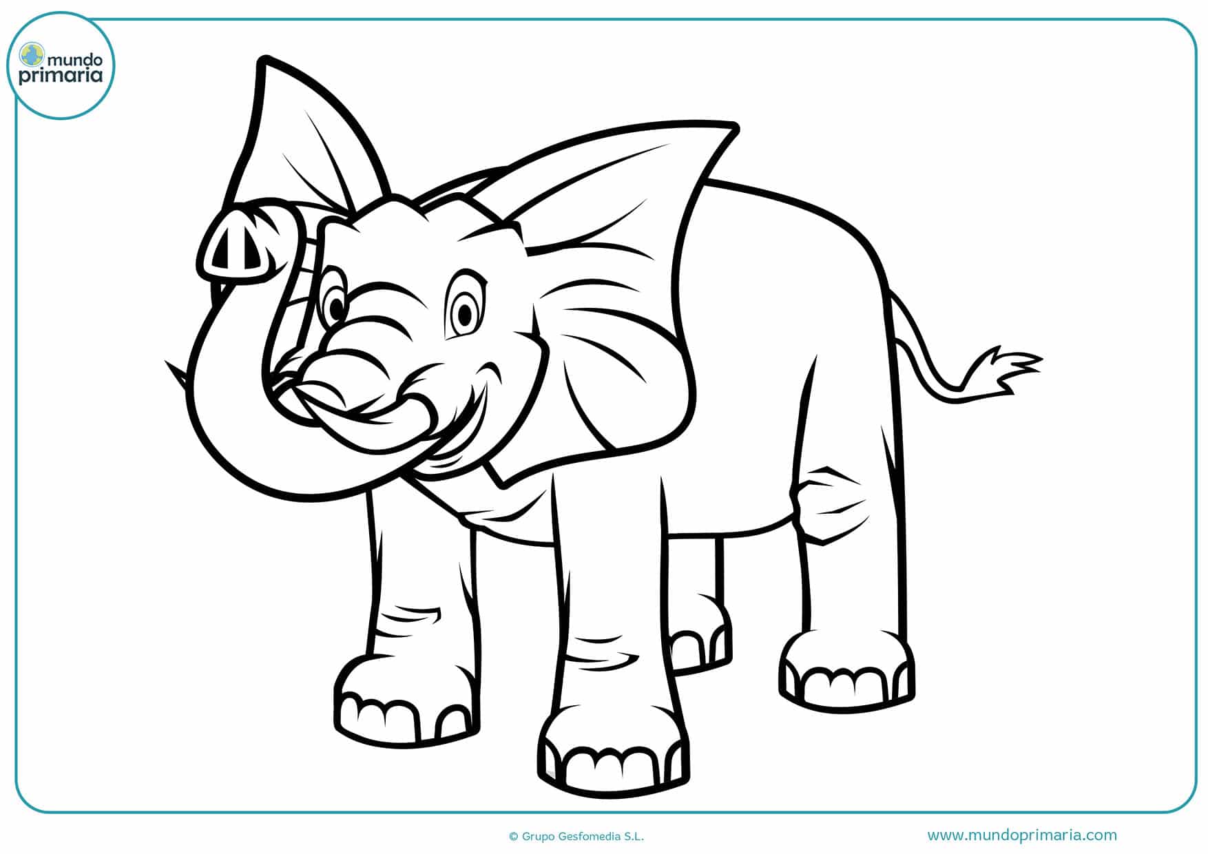 Dibujos colorear animales selva