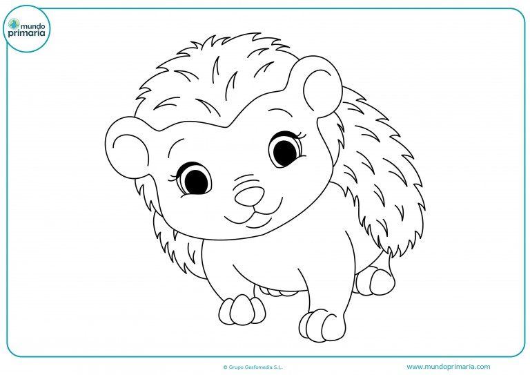 Dibujos de Animales del Bosque para Colorear e Imprimir