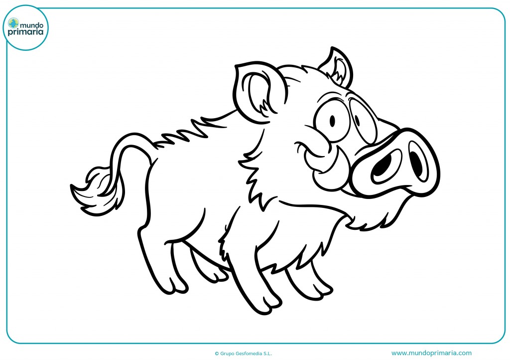 Dibujos de animales de la selva para colorear - Mundo Primaria