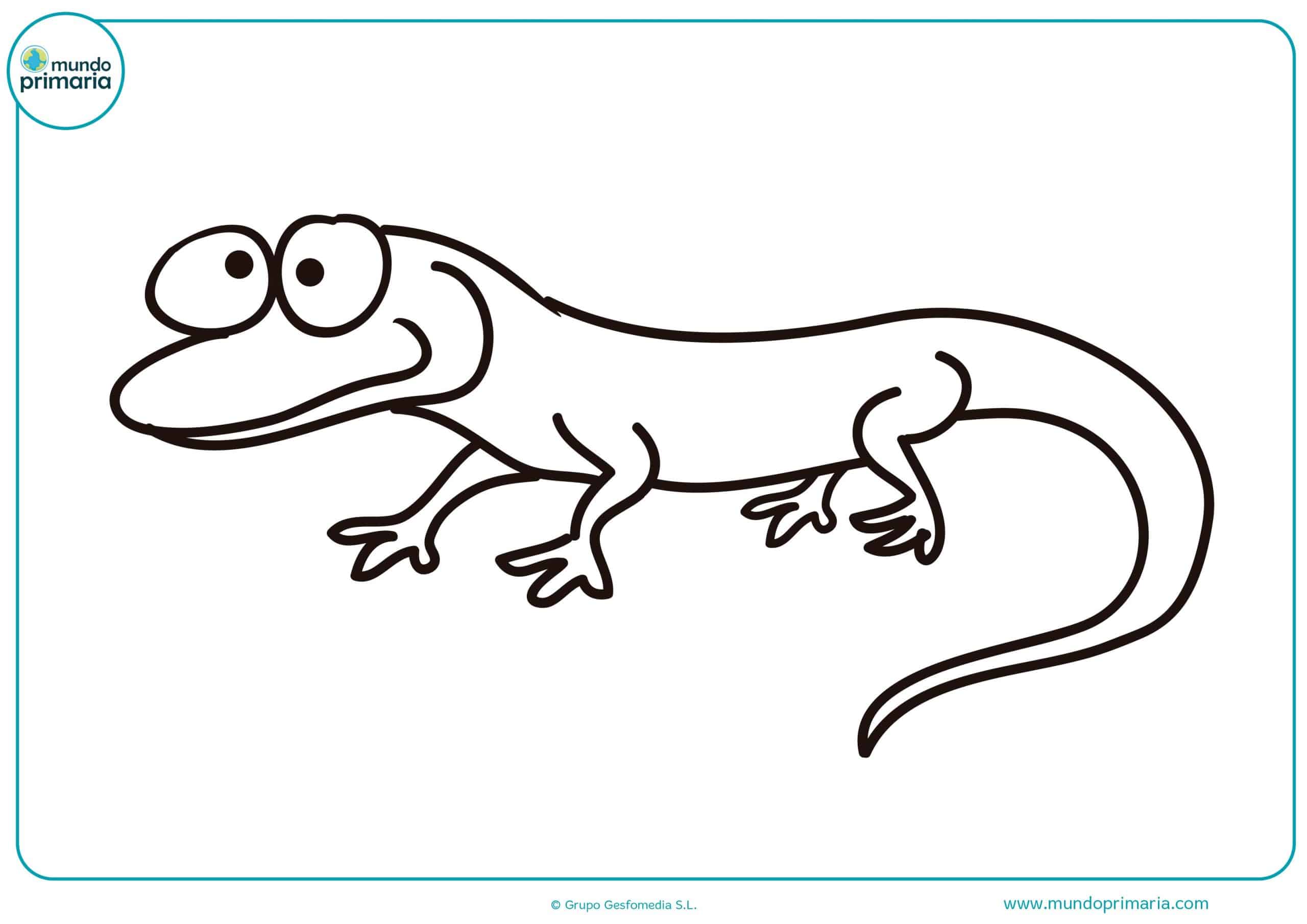 Colorear dibujos animales omnívoros gratis