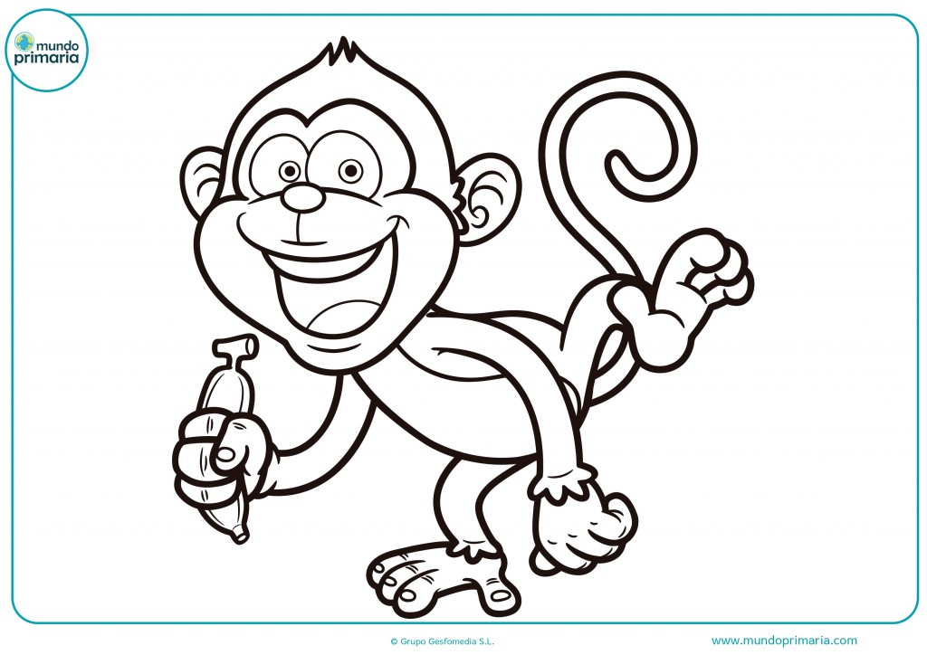 dibujos-de-animales-de-la-selva-para-colorear-mundo-primaria