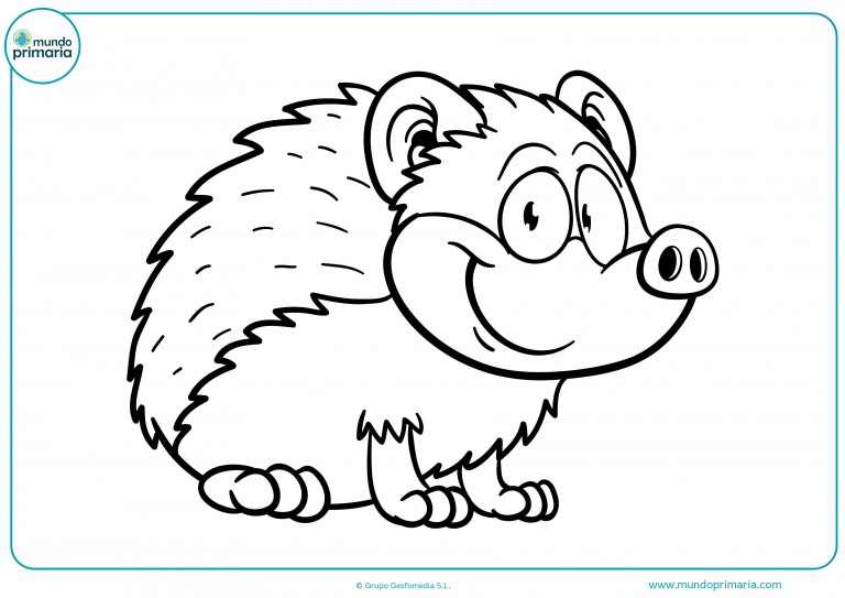 Dibujos de Animales del Bosque para Colorear e Imprimir