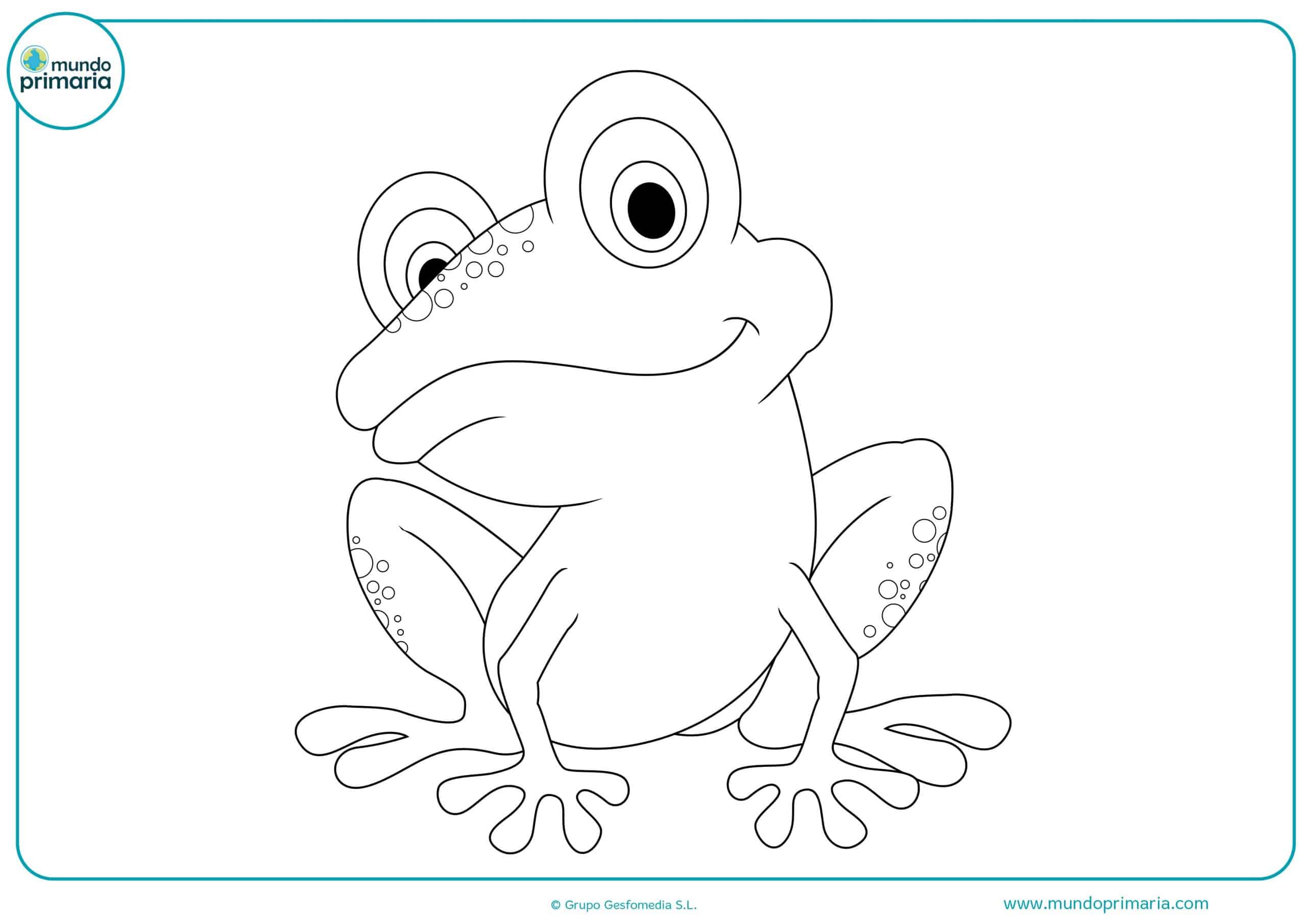 Pintar dibujos animales bosque
