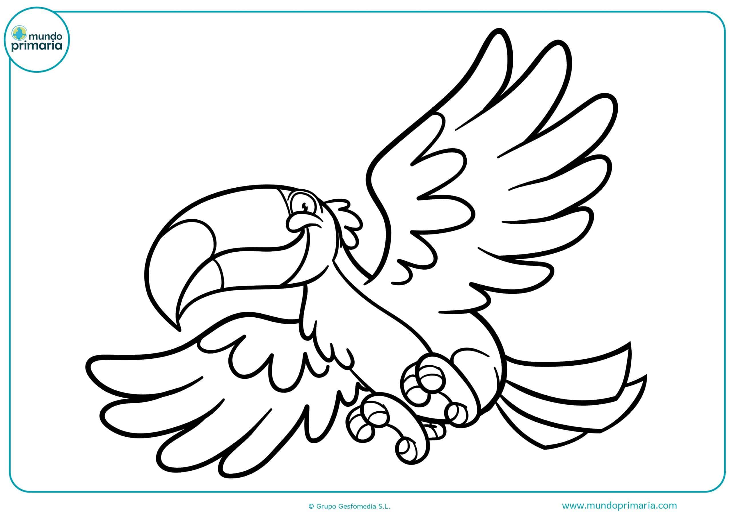 Dibujos colorear animales aves