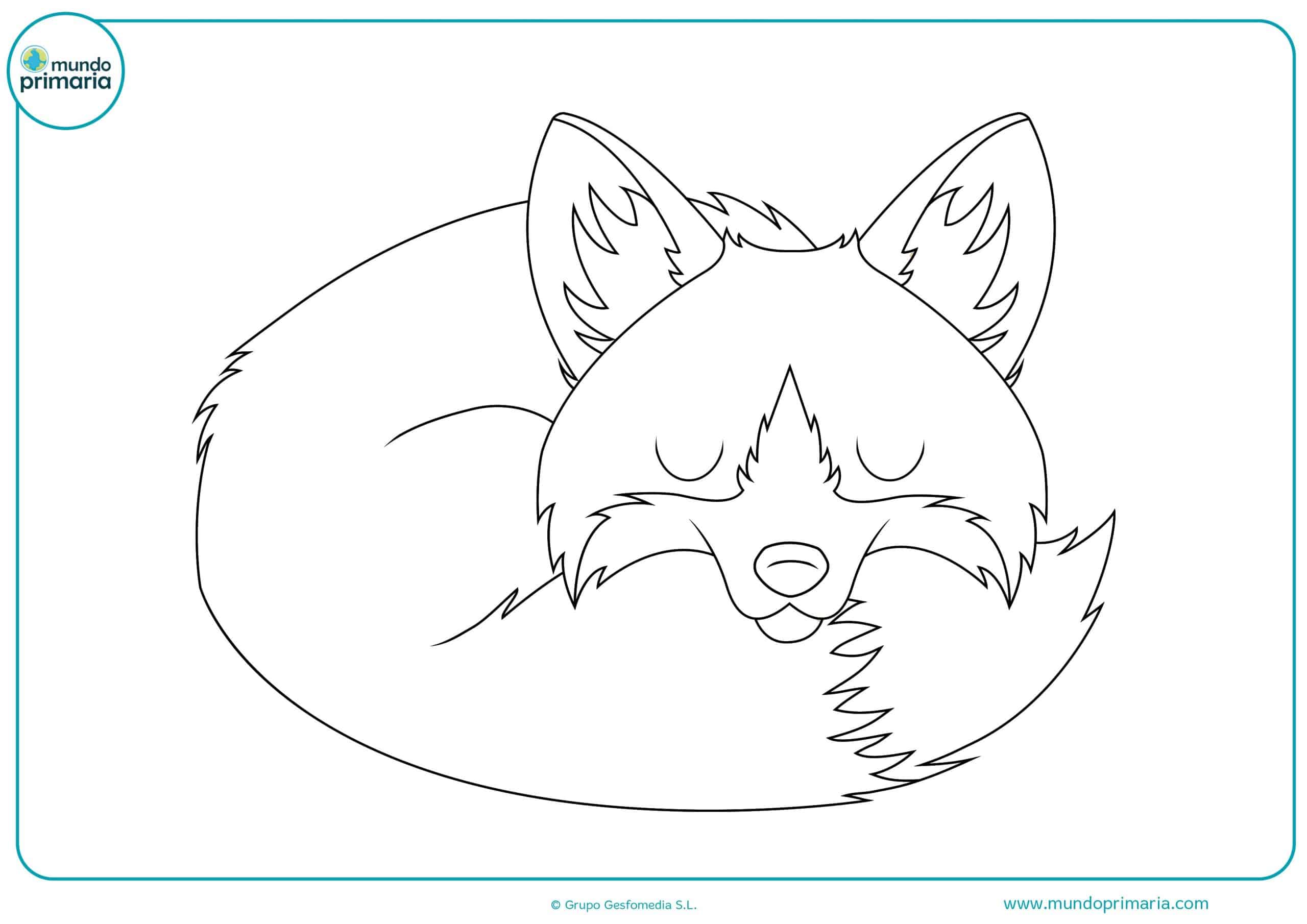 Dibujos para pintar animales de bosque