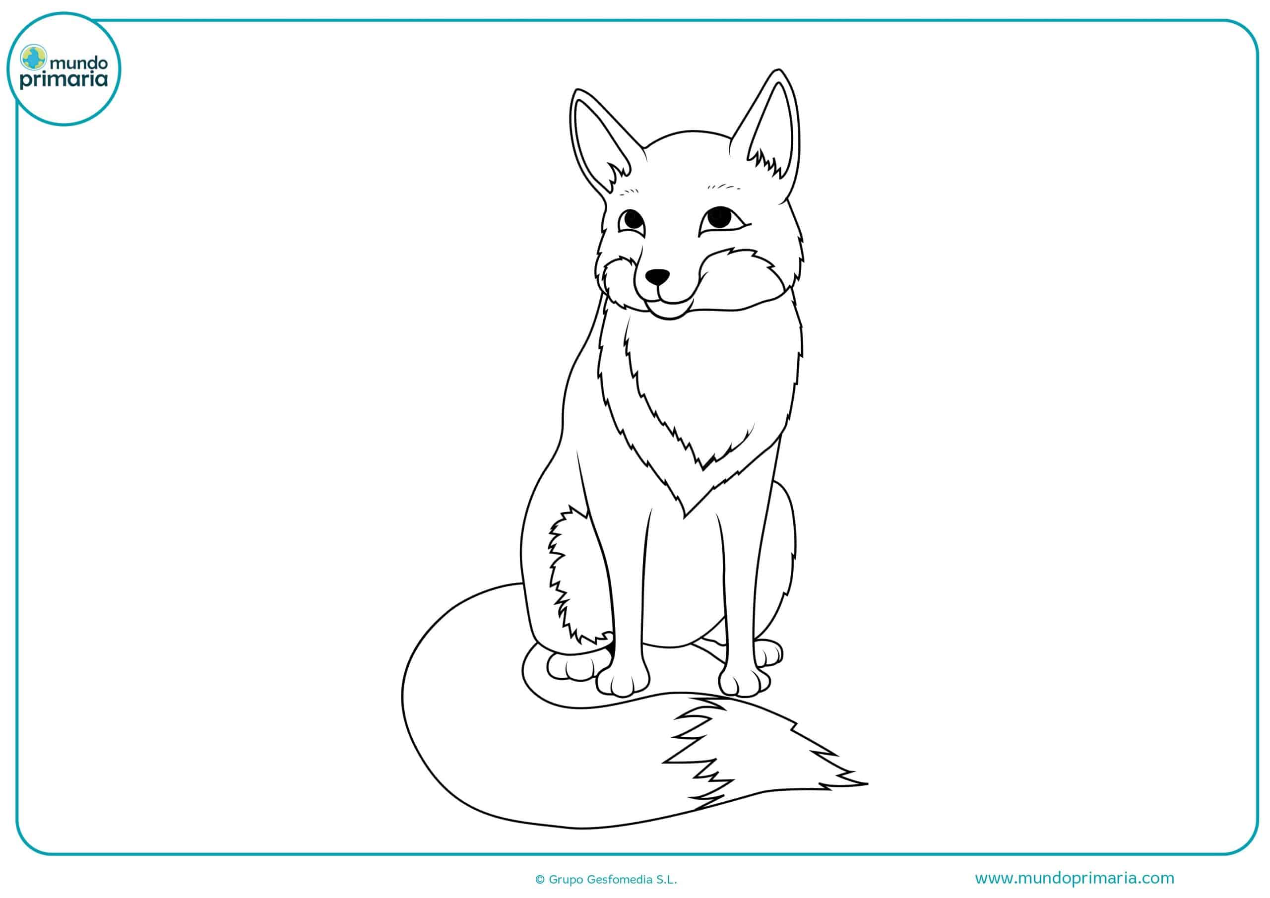 Dibujos gratis colorear bosque animales