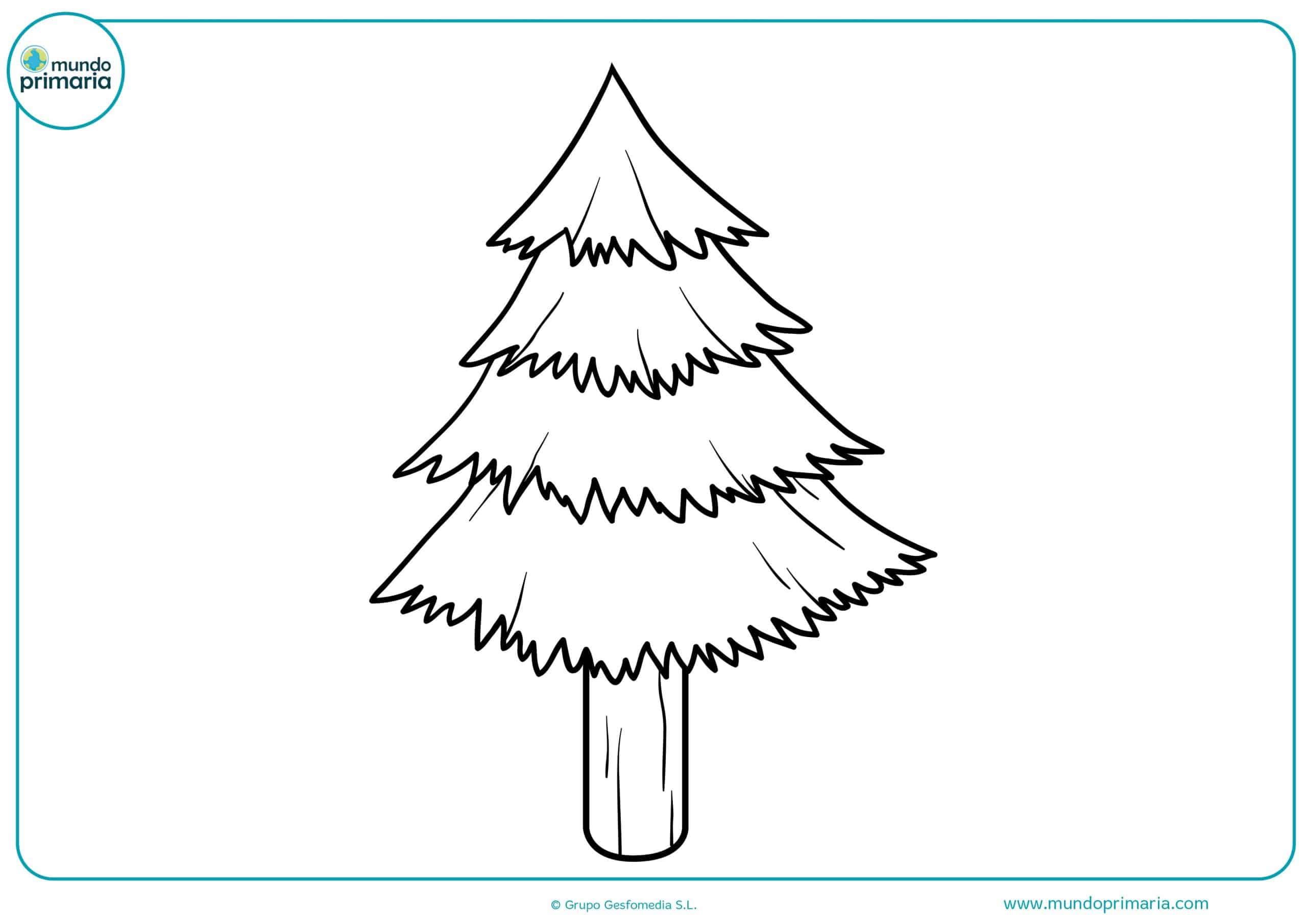 Dibujos de Árboles para Colear [Otoño, Secos, Navidad]
