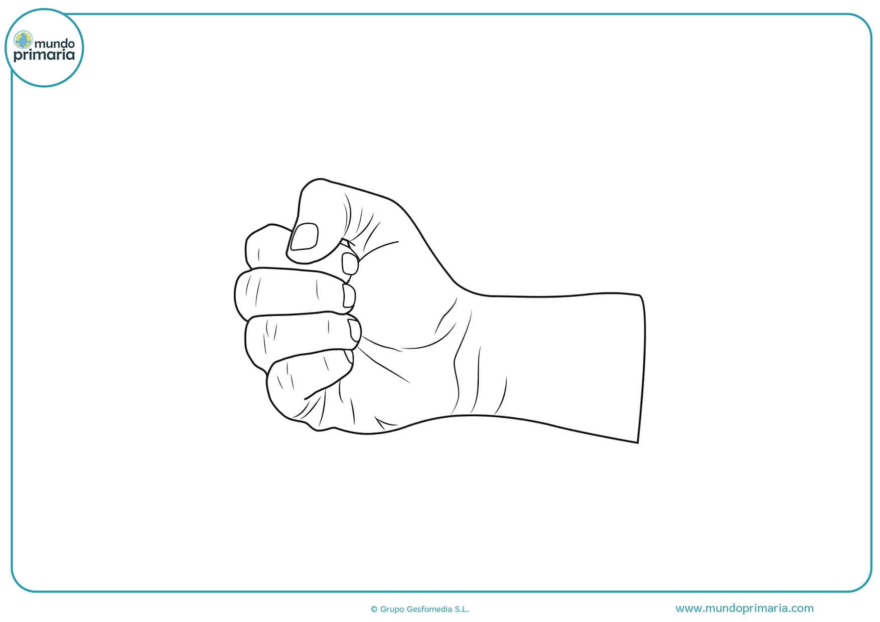 Dibujos gratis colorear cuerpo humano