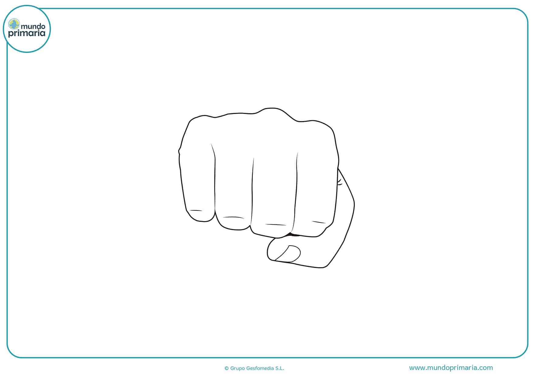 Colorear cuerpo humano para dibujar