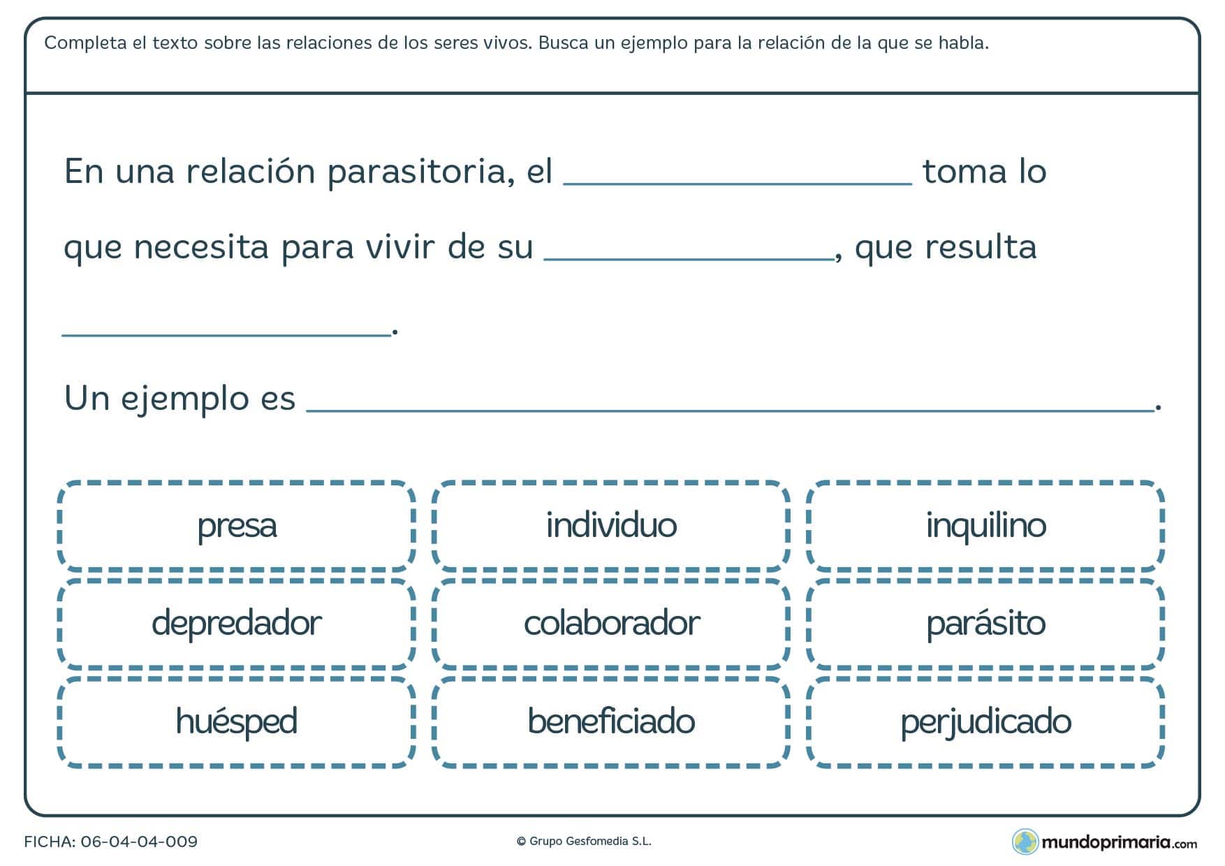 Ficha de la cadena alimenticia de los seres vivos