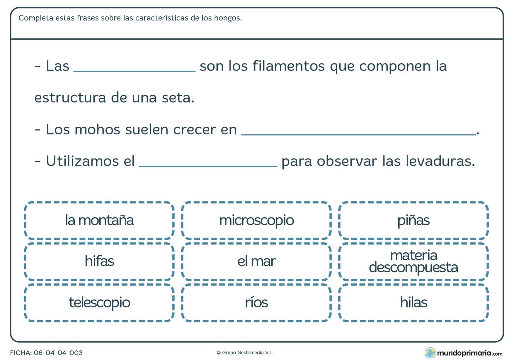 Ficha de las características de los hongos