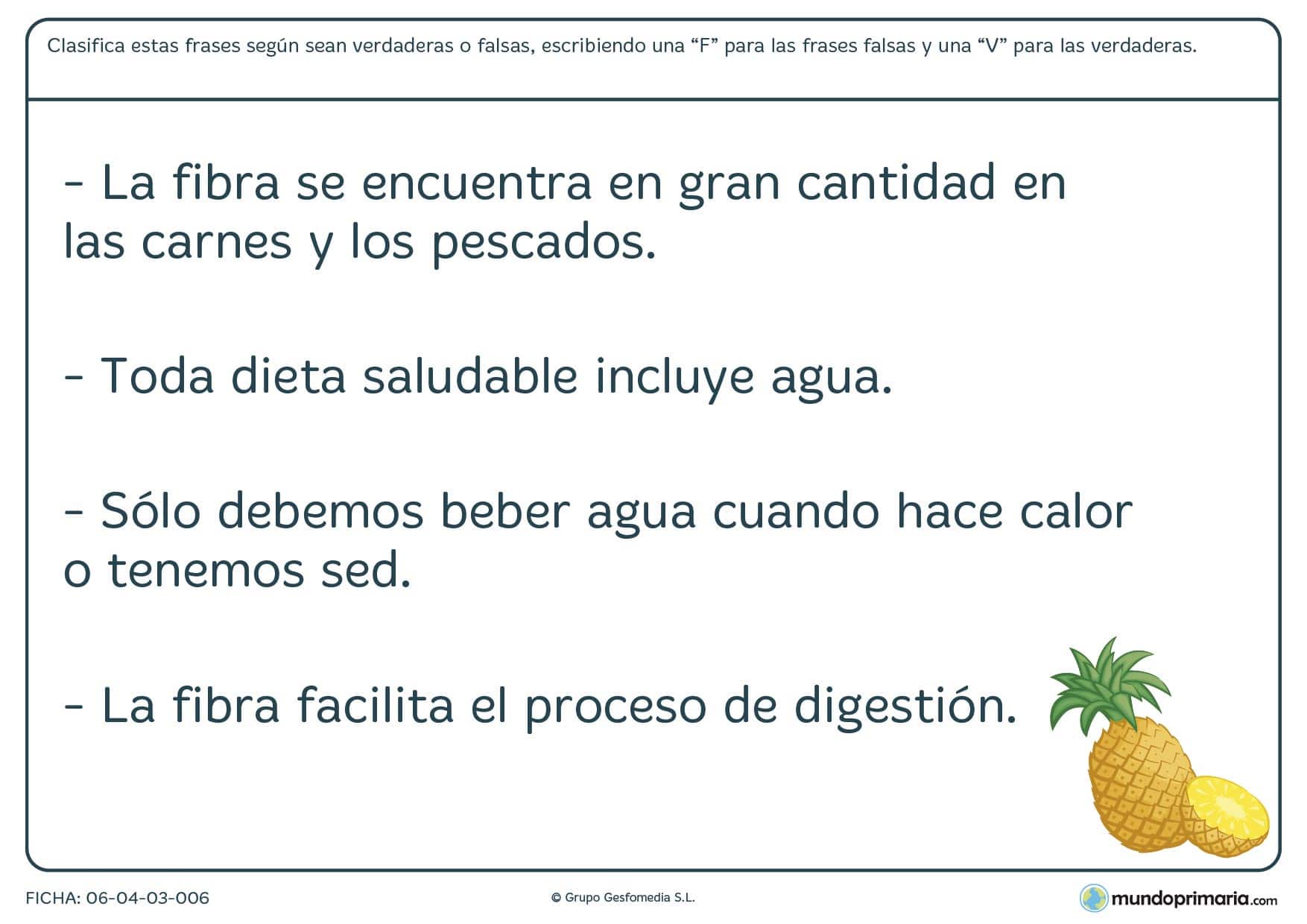 Ficha de tipos de fibra y dieta para la salud