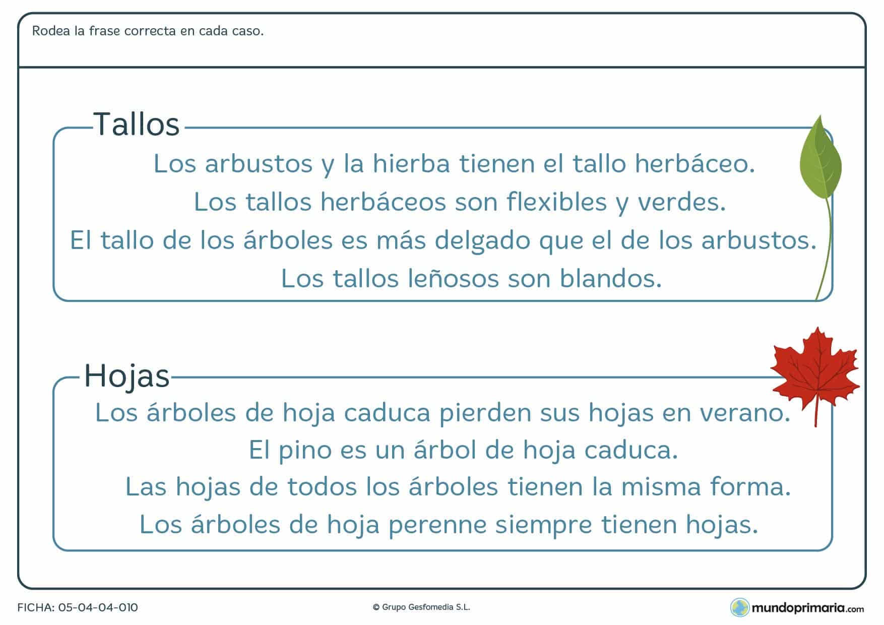 Ejercicios De Ciencias Naturales Mundo Primaria