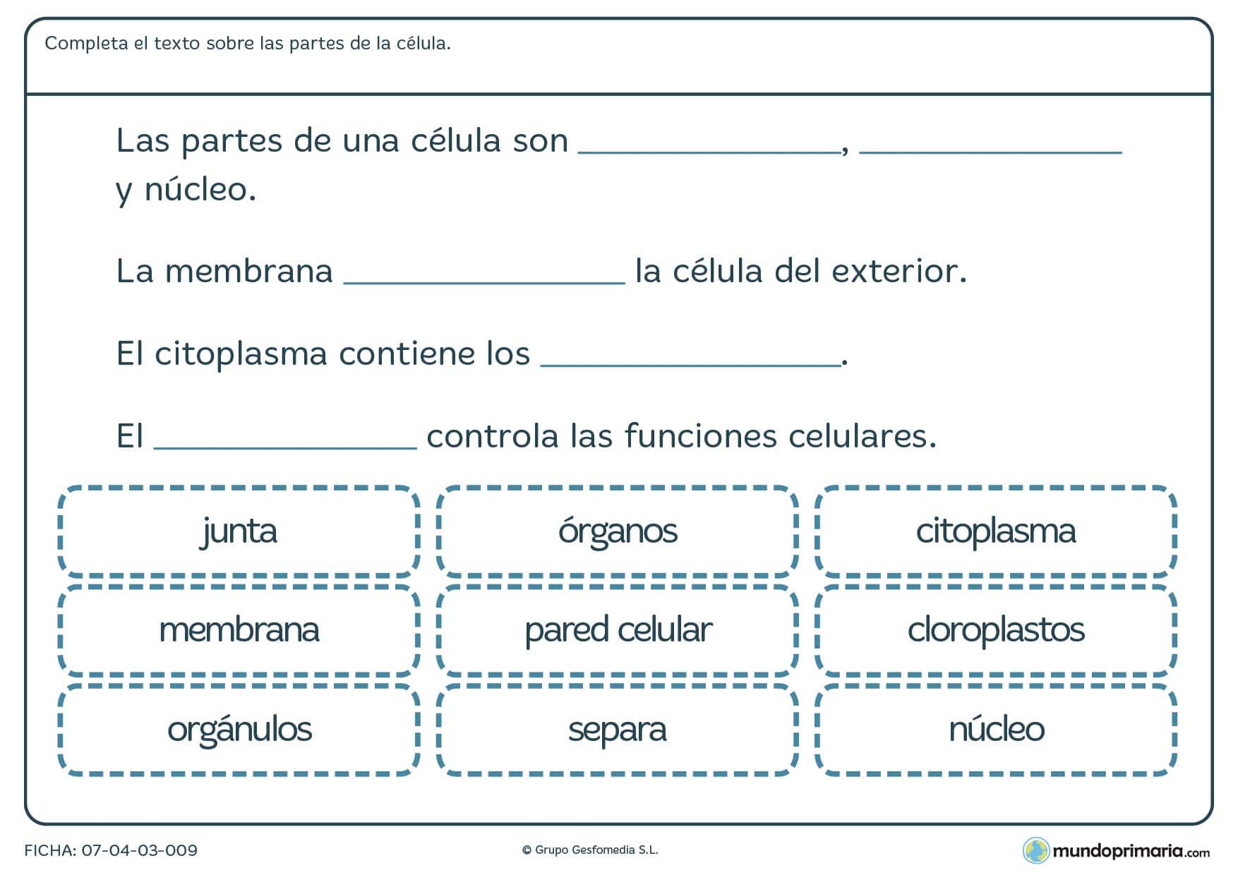 Ficha de texto sobre la célula para primaria