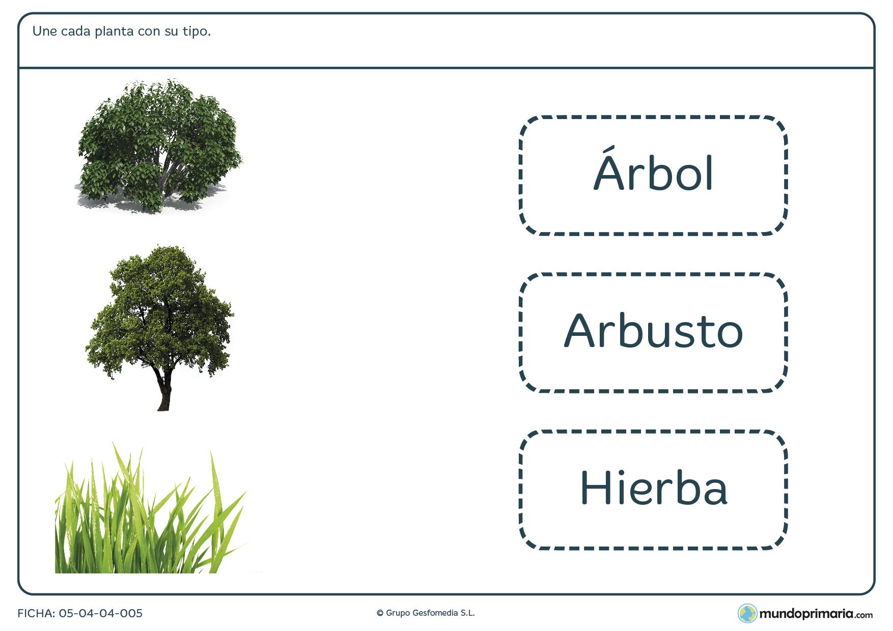 Ciencias naturales ejercicios 3 primaria