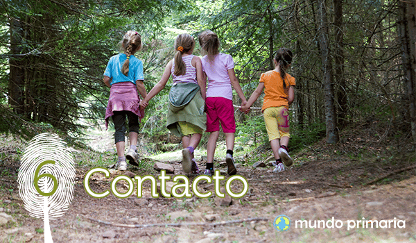 6-Contacto