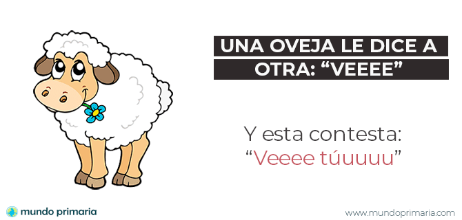 Chistes De Animales Para Niños Revisados Y Adaptados 