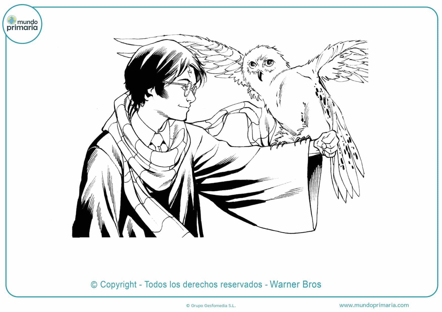 dibujos para colorear de harry potter y mascotas