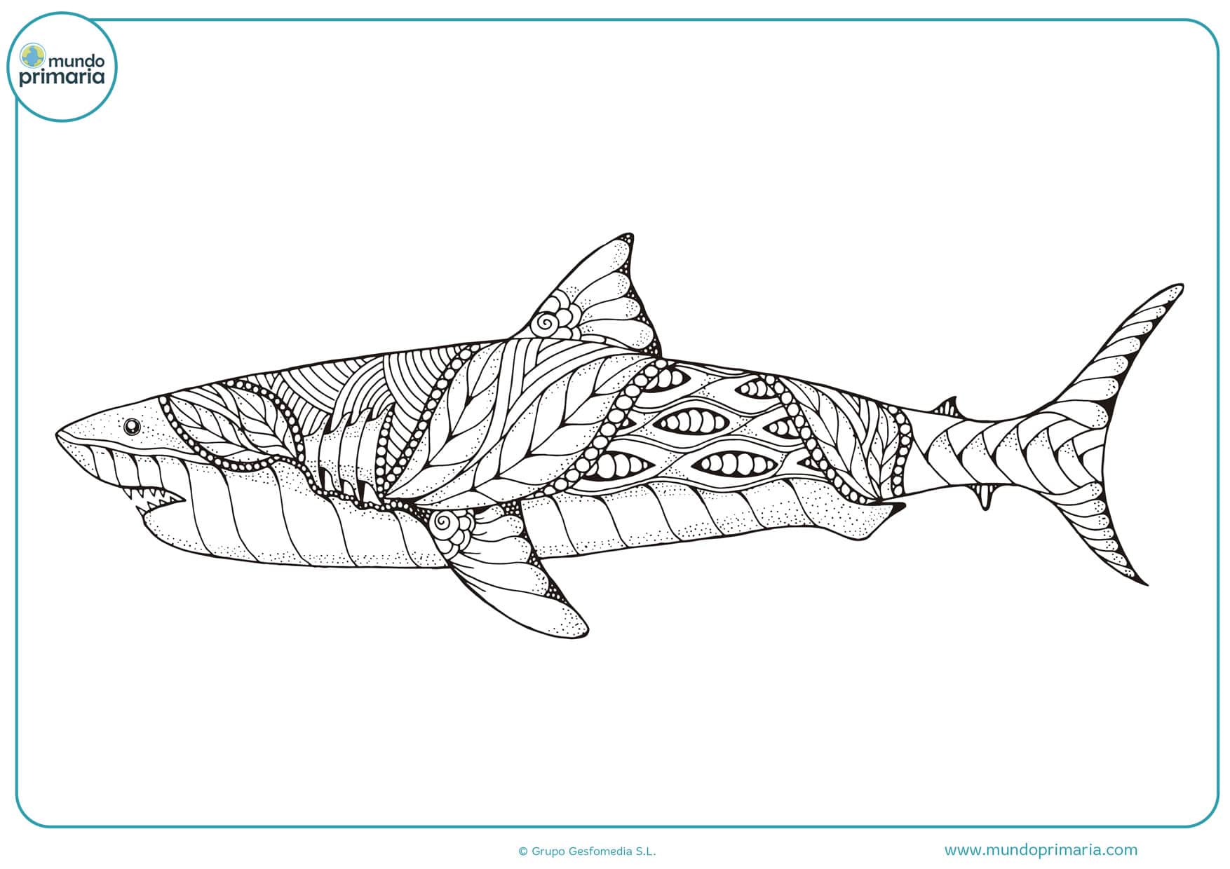 ▷ Dibujos de Tiburones para Colorear (Fáciles de Imprimir)